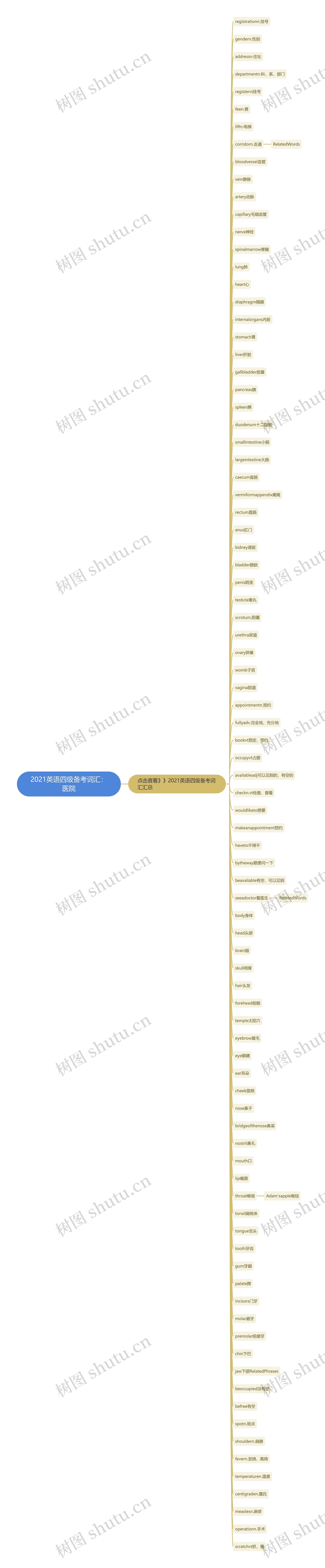 2021英语四级备考词汇：医院思维导图