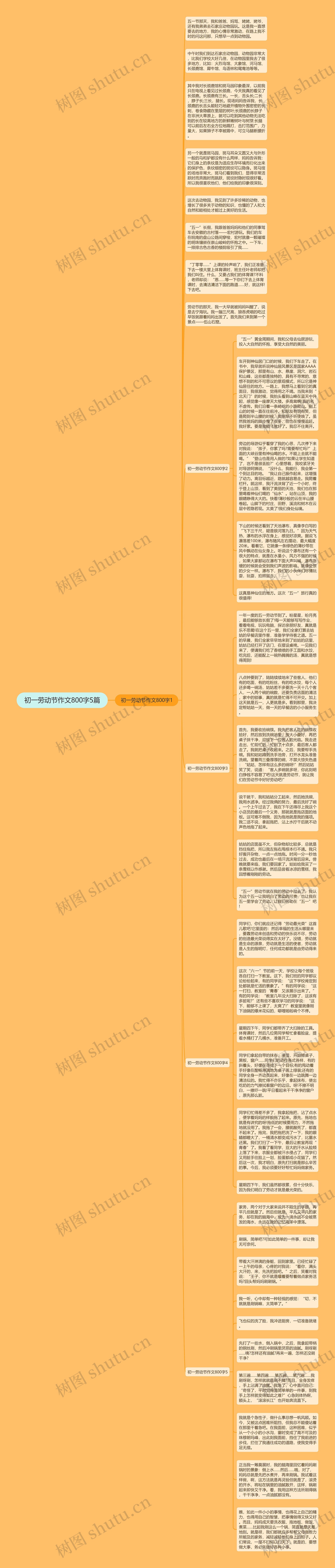 初一劳动节作文800字5篇