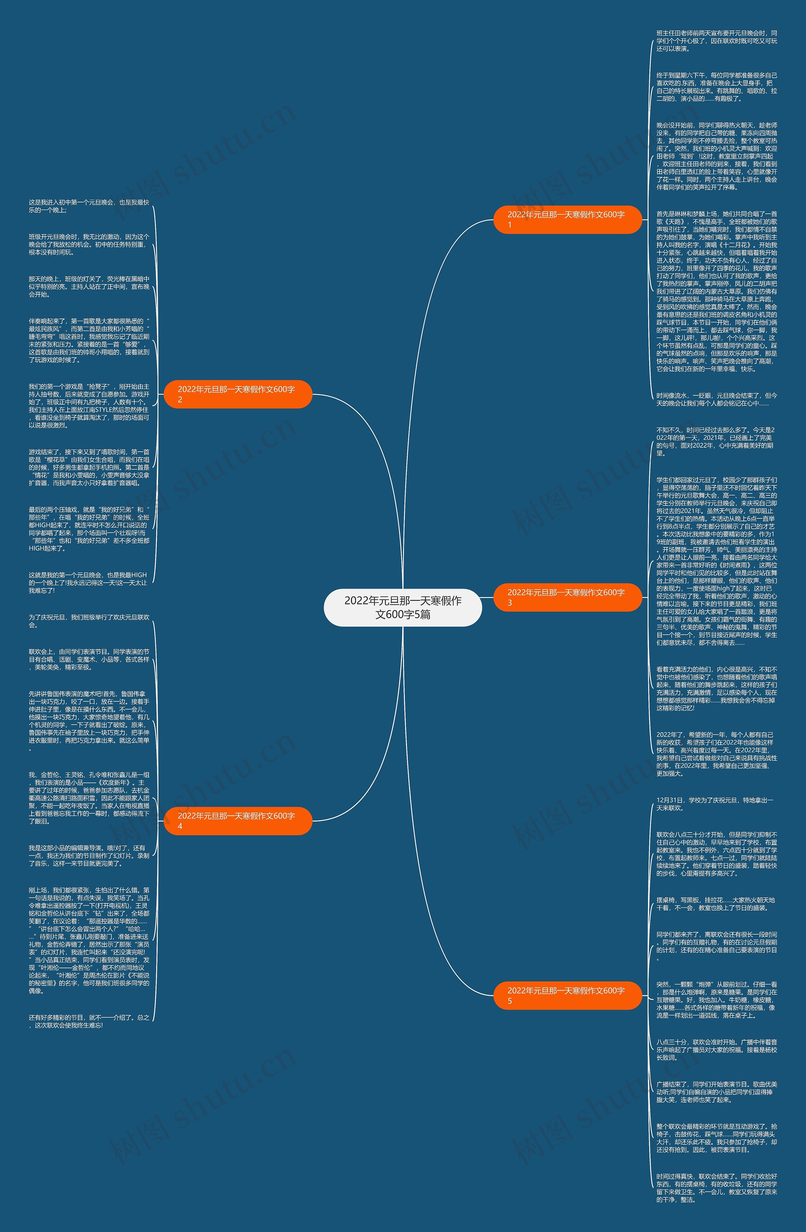 2022年元旦那一天寒假作文600字5篇思维导图