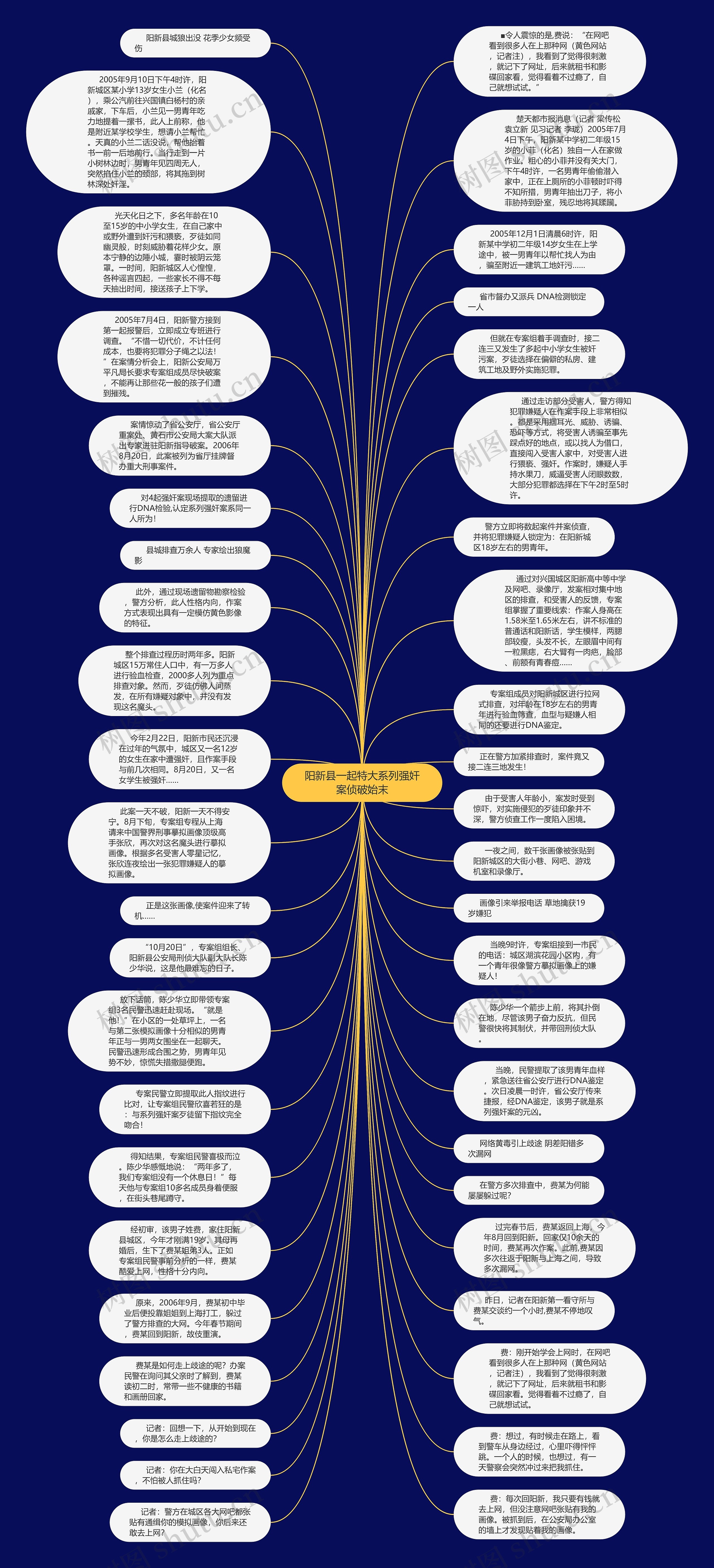 阳新县一起特大系列强奸案侦破始末思维导图