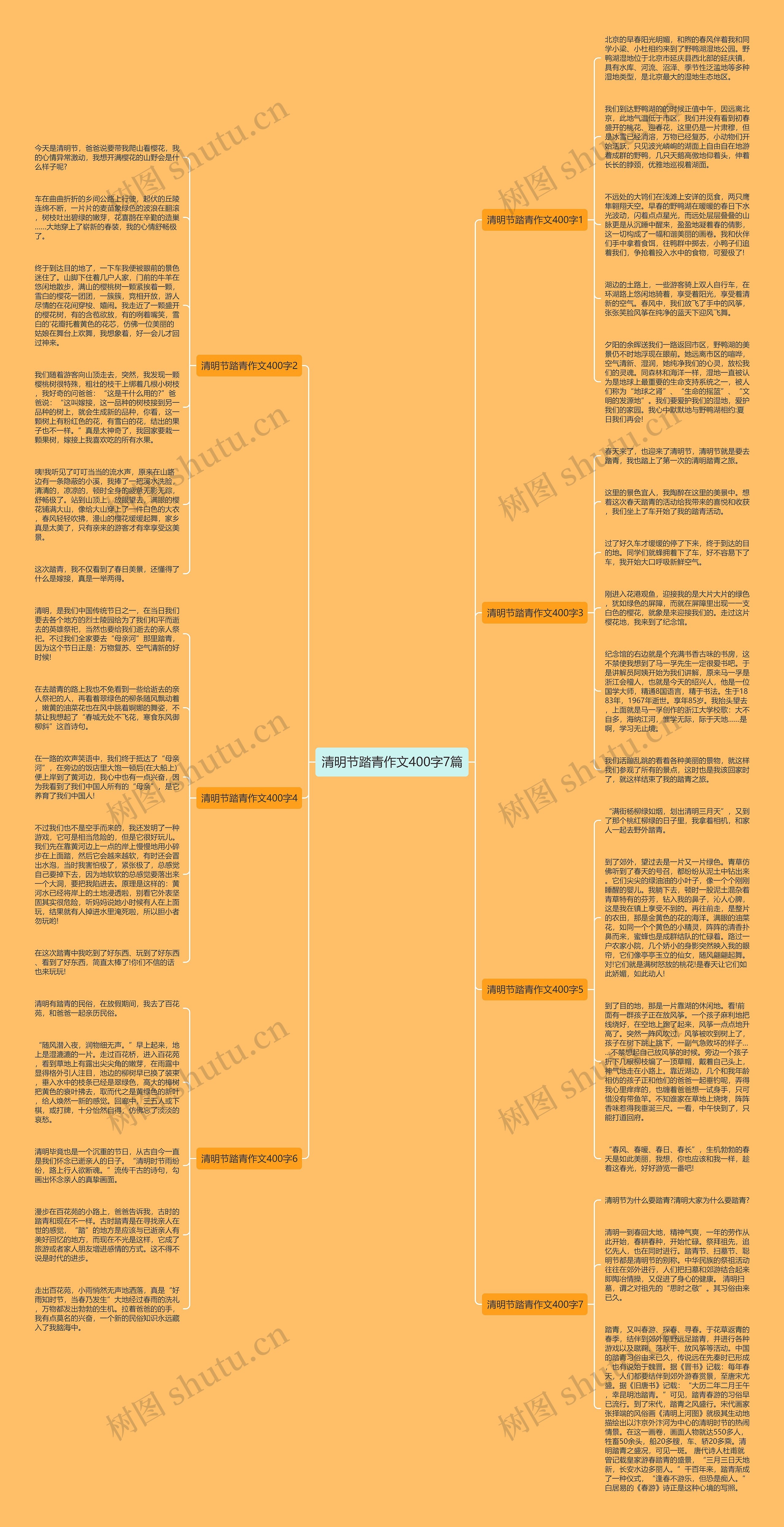 清明节踏青作文400字7篇思维导图