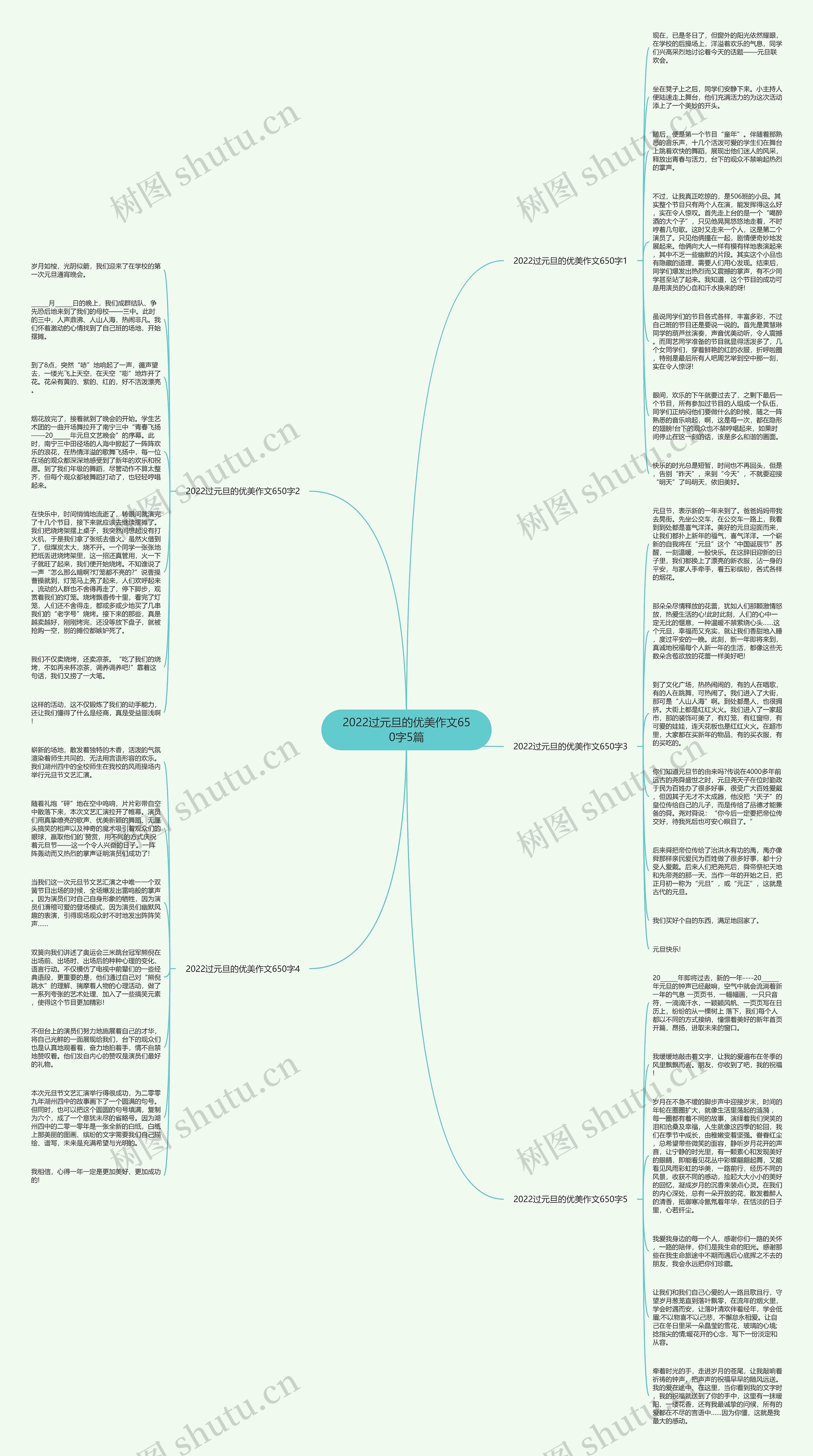 2022过元旦的优美作文650字5篇思维导图