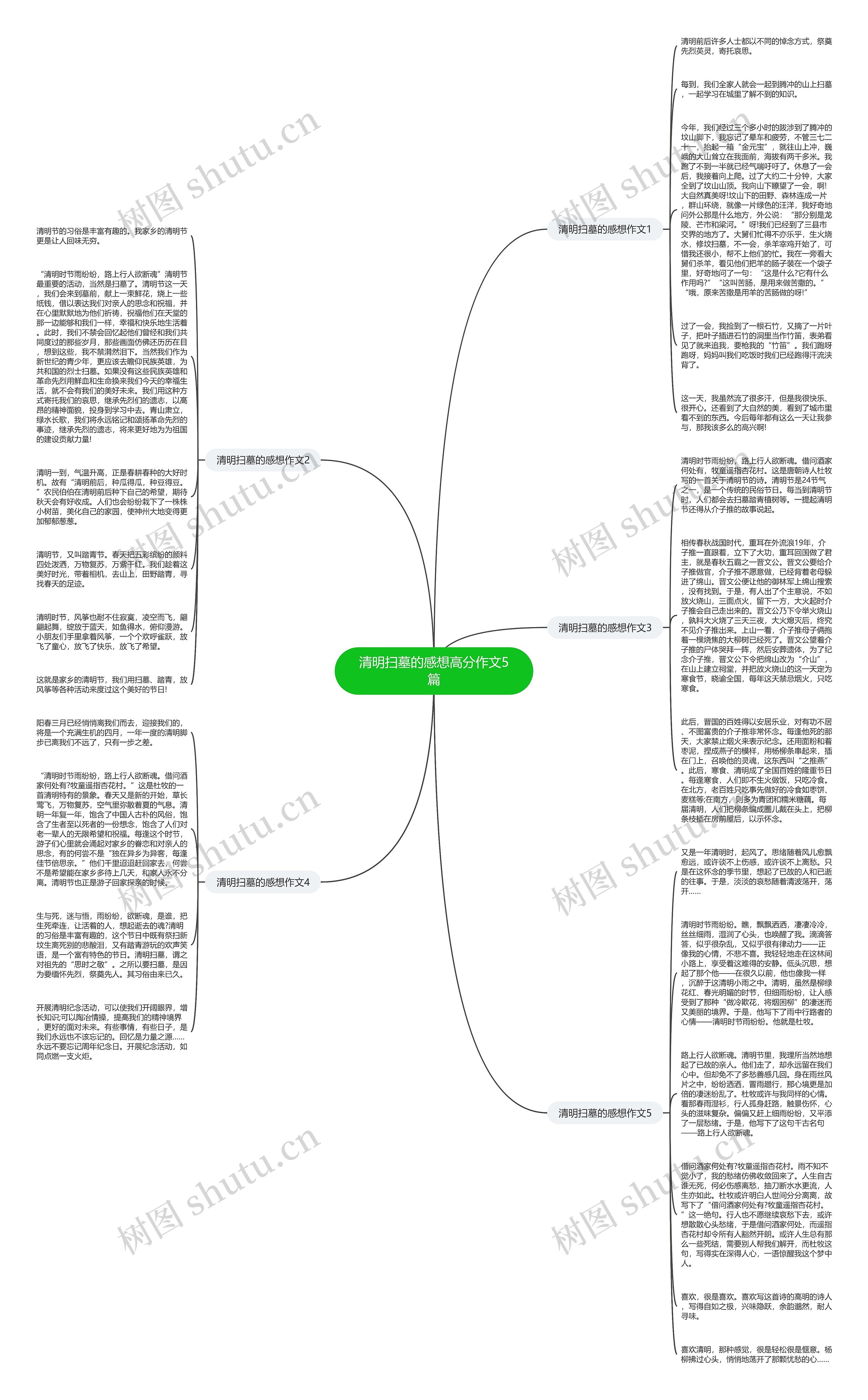 清明扫墓的感想高分作文5篇思维导图