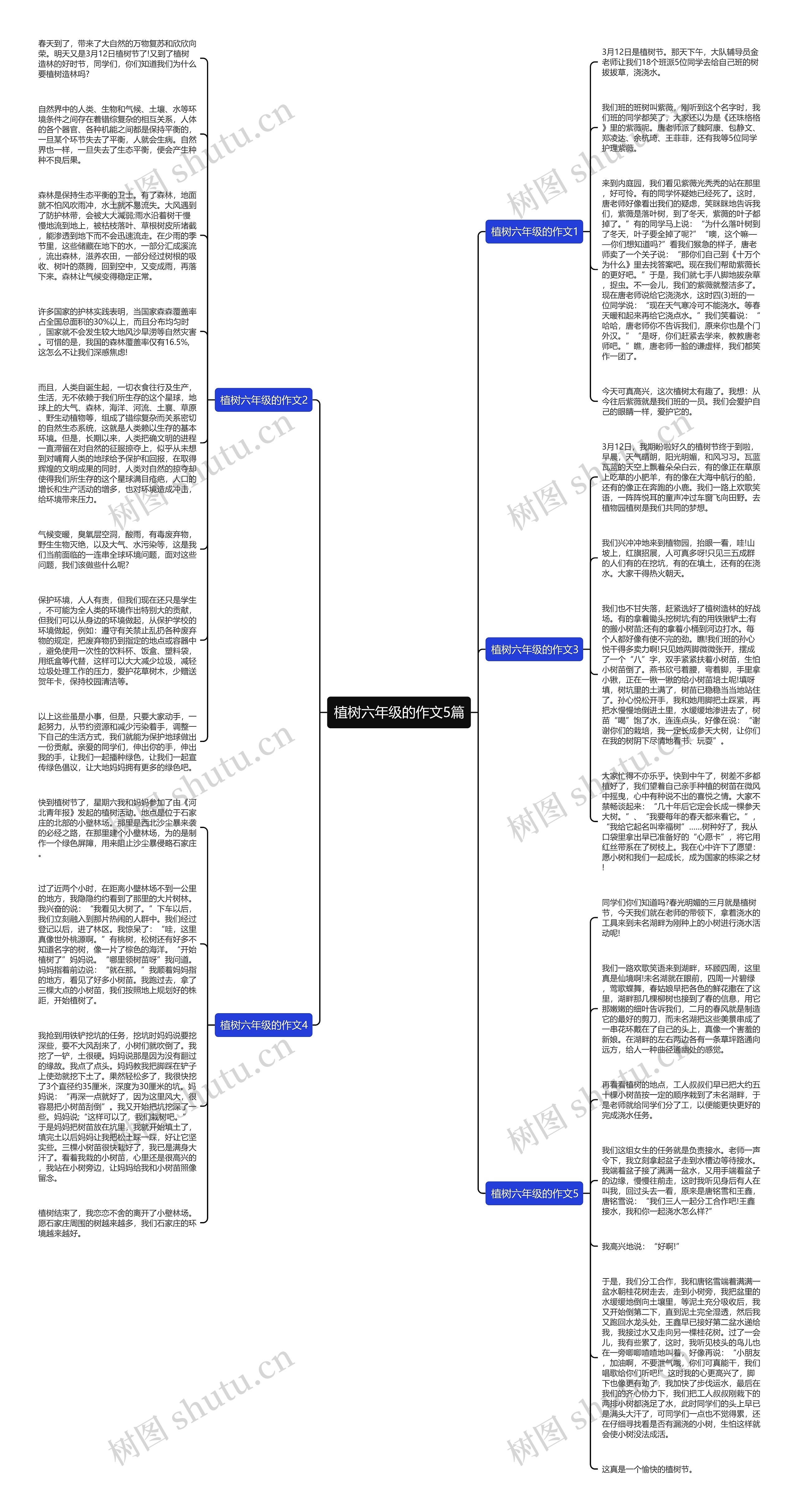 植树六年级的作文5篇