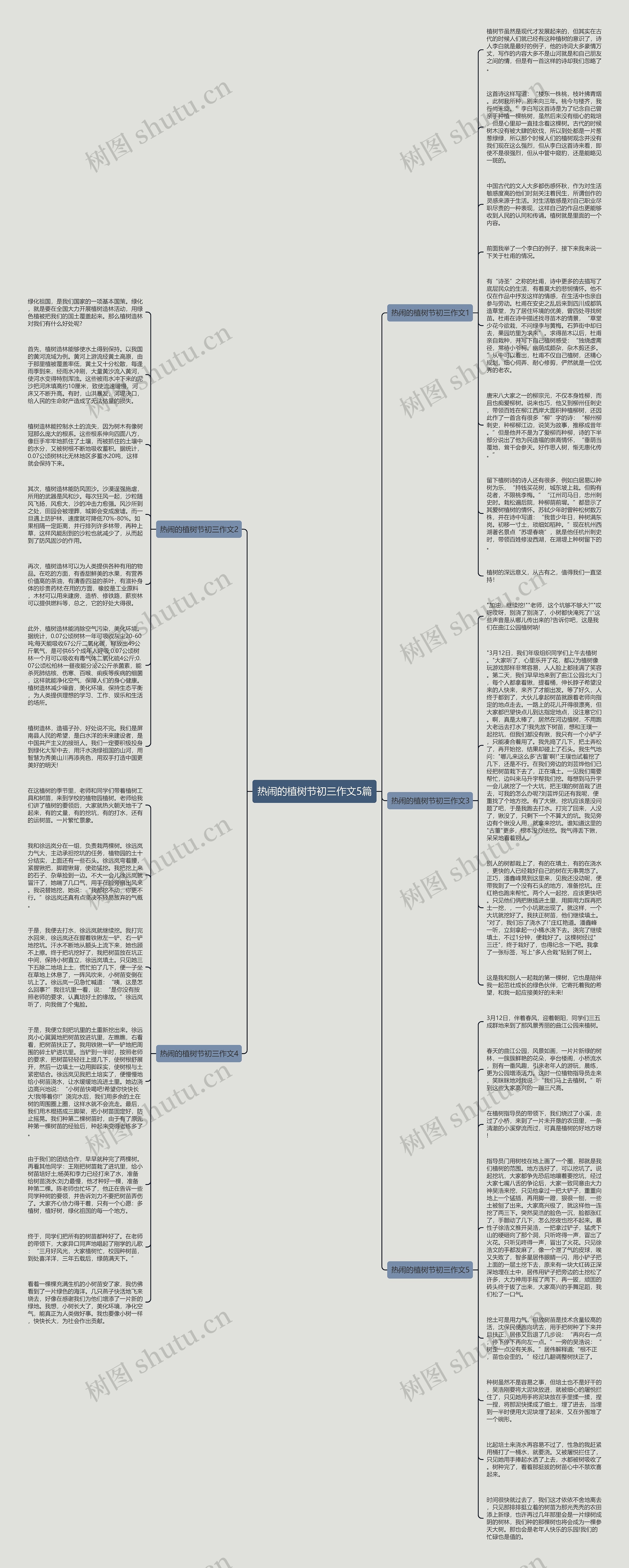 热闹的植树节初三作文5篇思维导图