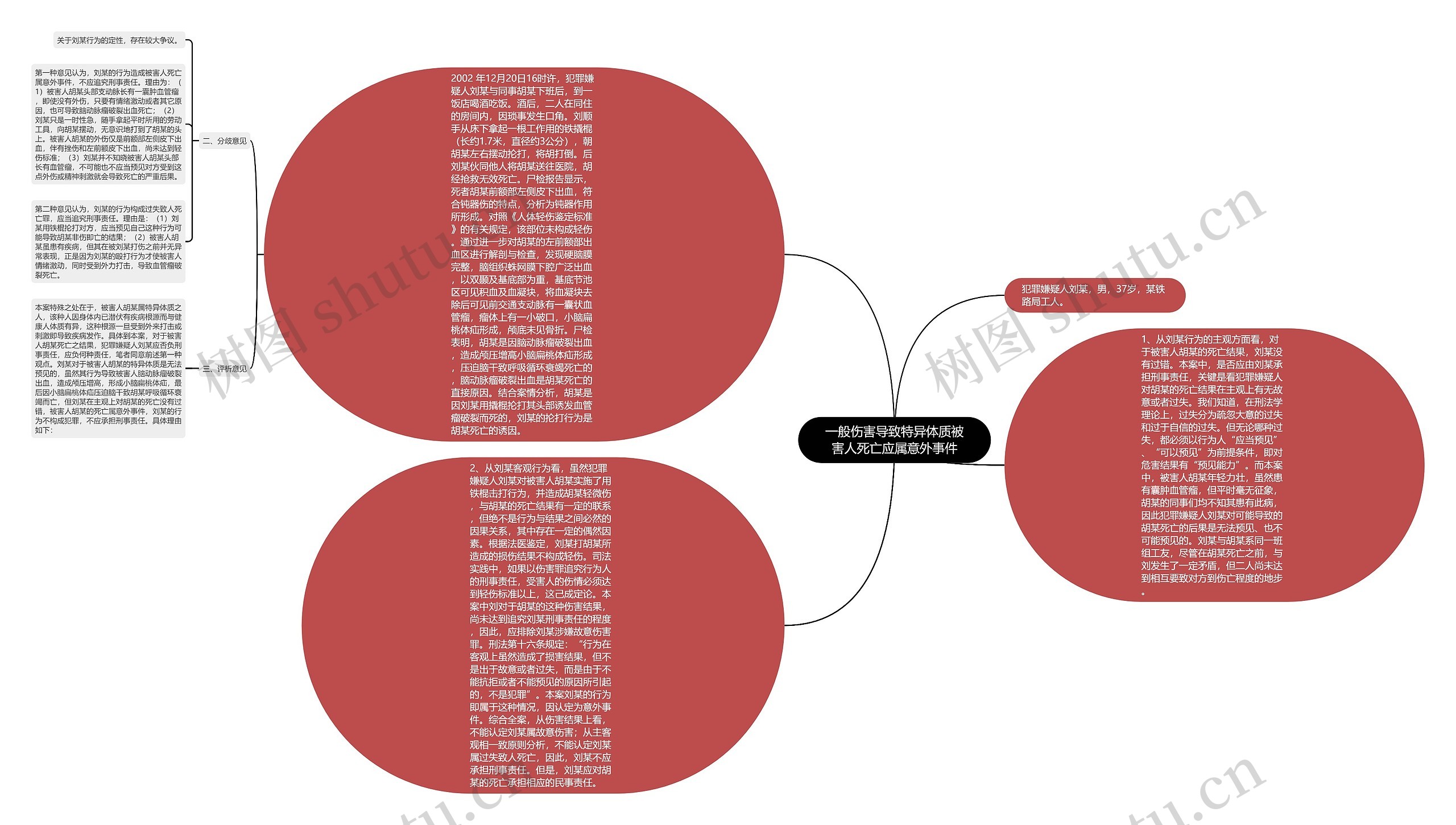 一般伤害导致特异体质被害人死亡应属意外事件思维导图