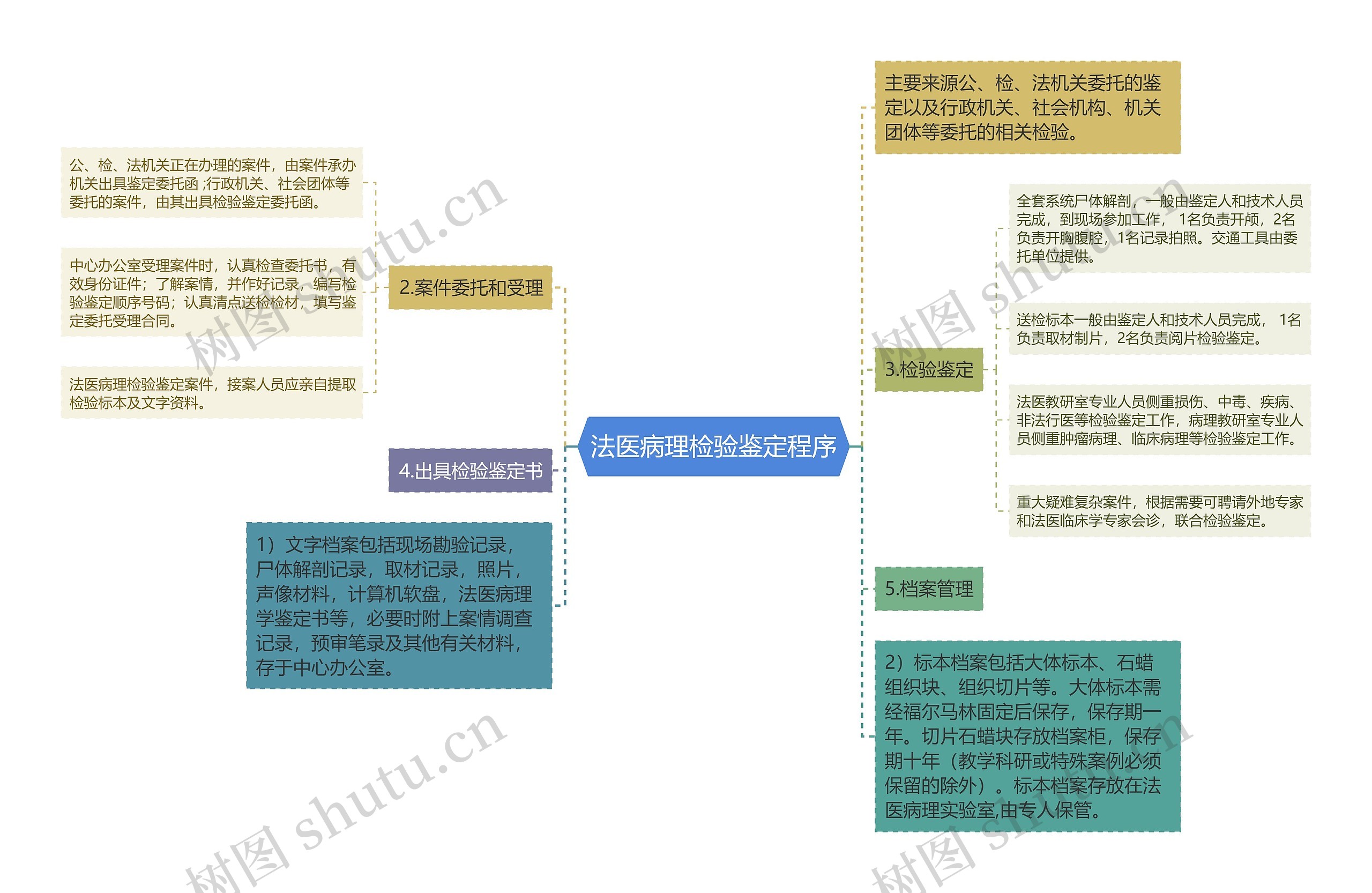 法医病理检验鉴定程序思维导图