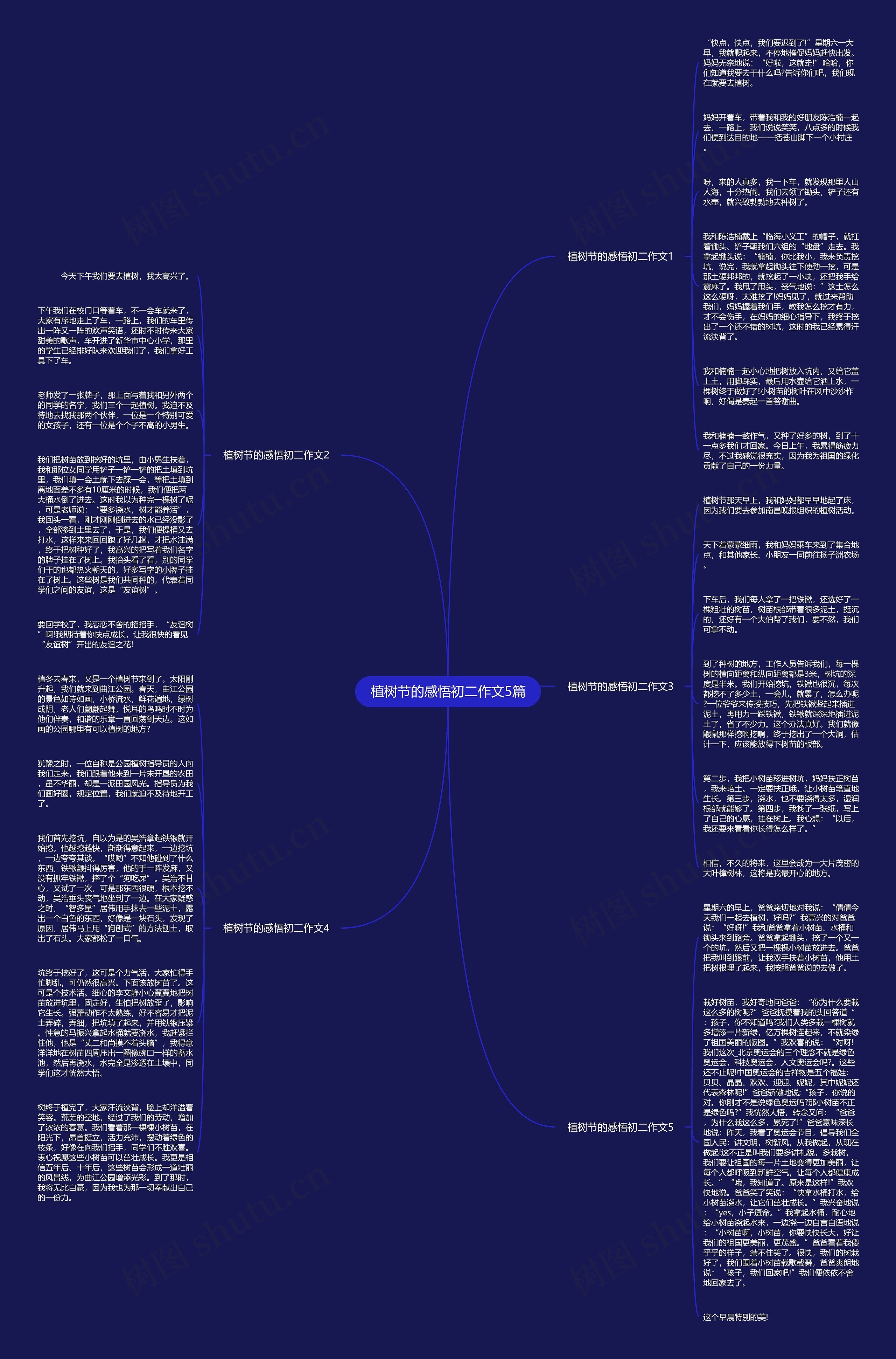 植树节的感悟初二作文5篇思维导图