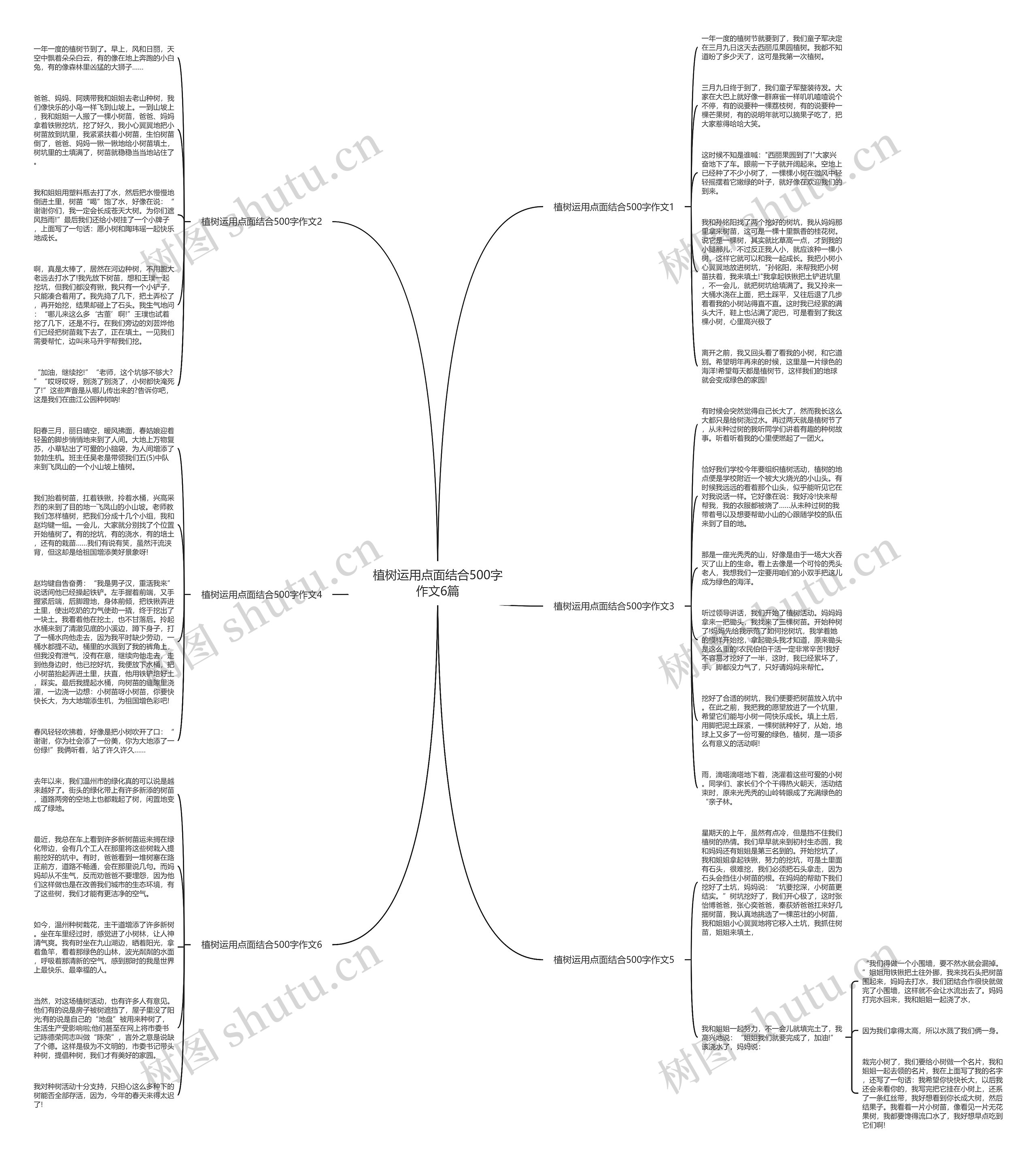 植树运用点面结合500字作文6篇思维导图