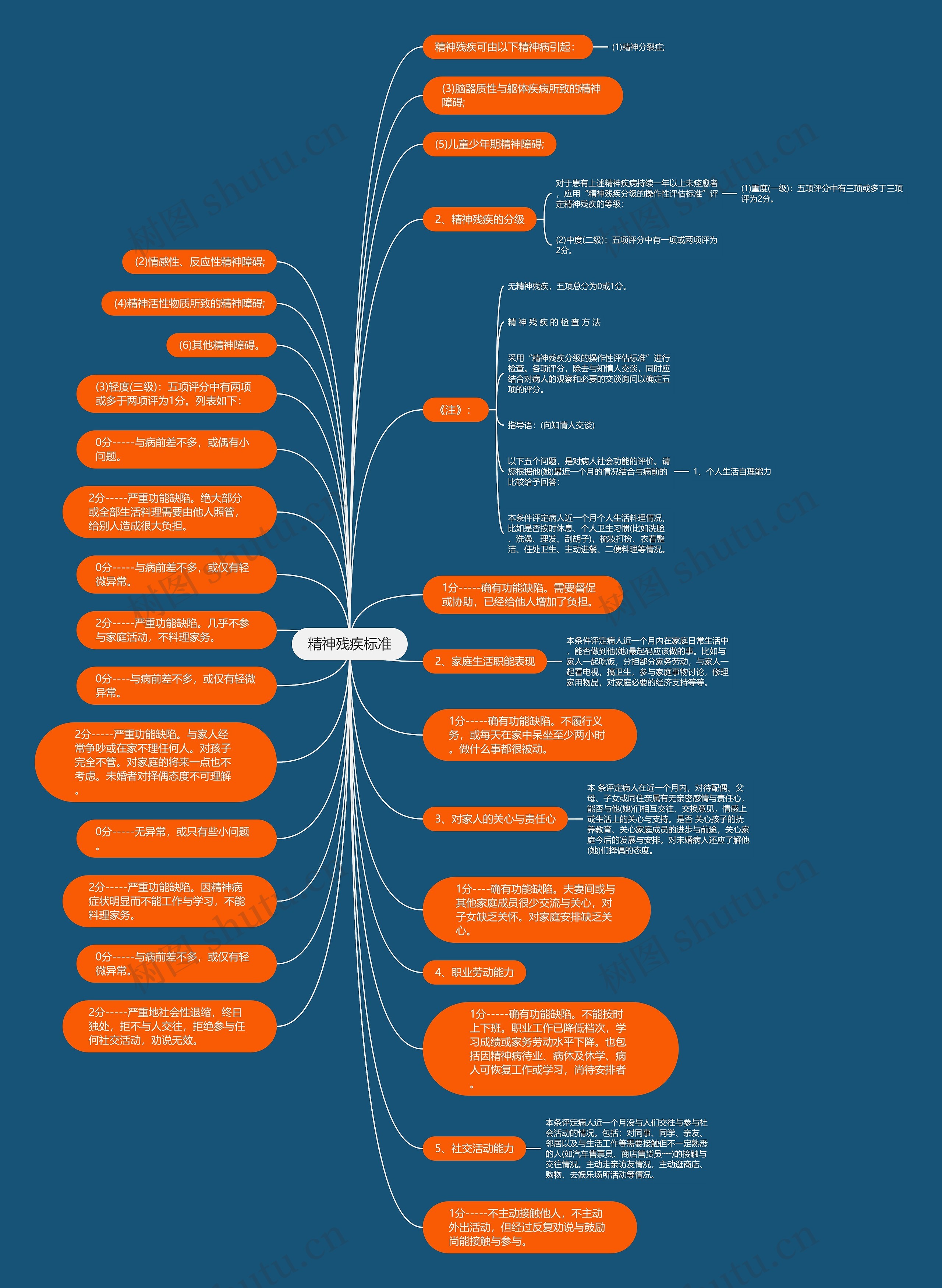 精神残疾标准思维导图