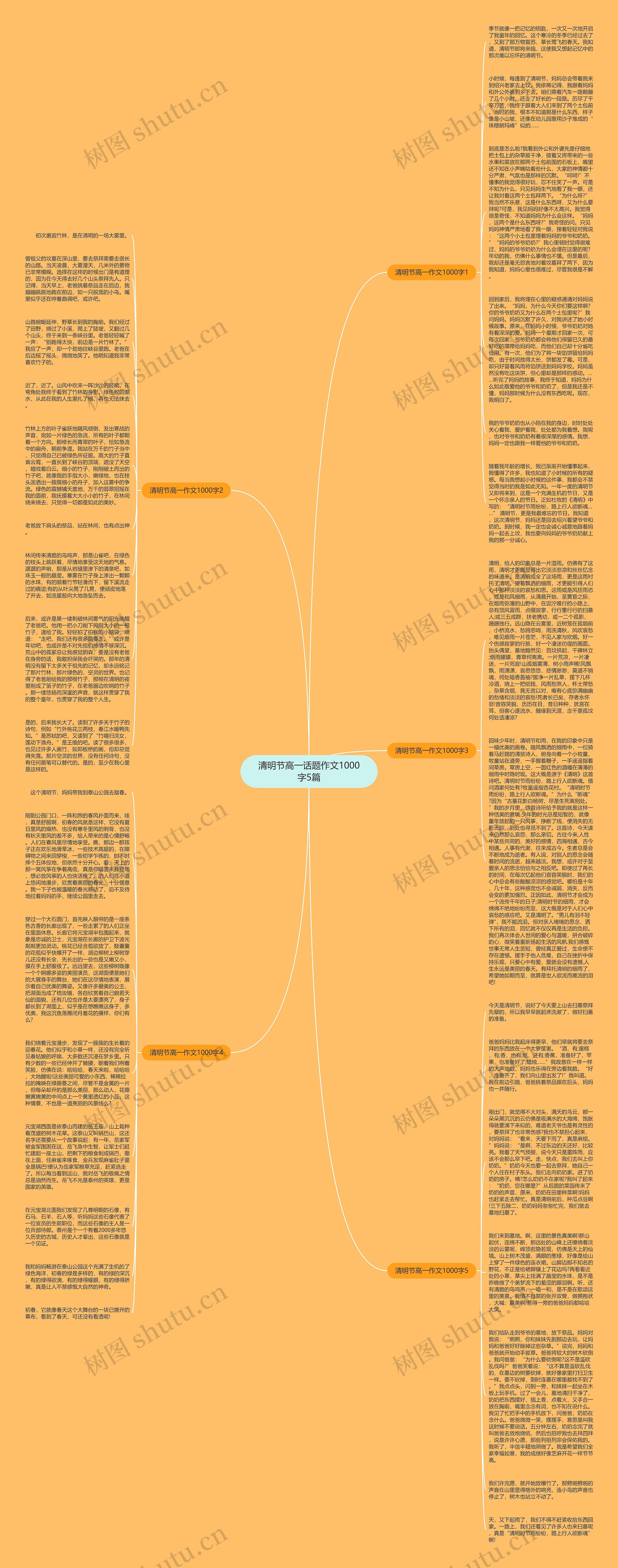 清明节高一话题作文1000字5篇思维导图