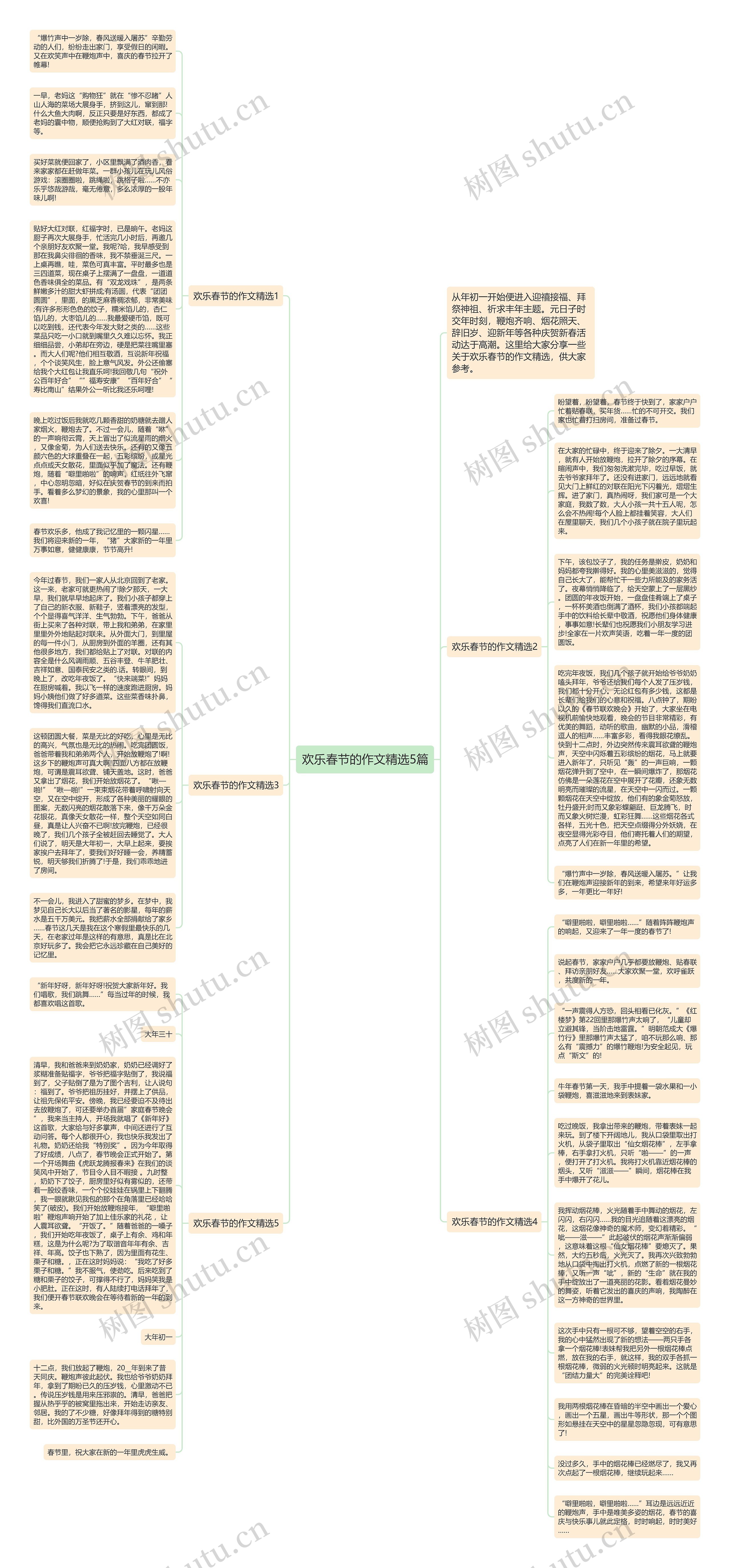 欢乐春节的作文精选5篇思维导图
