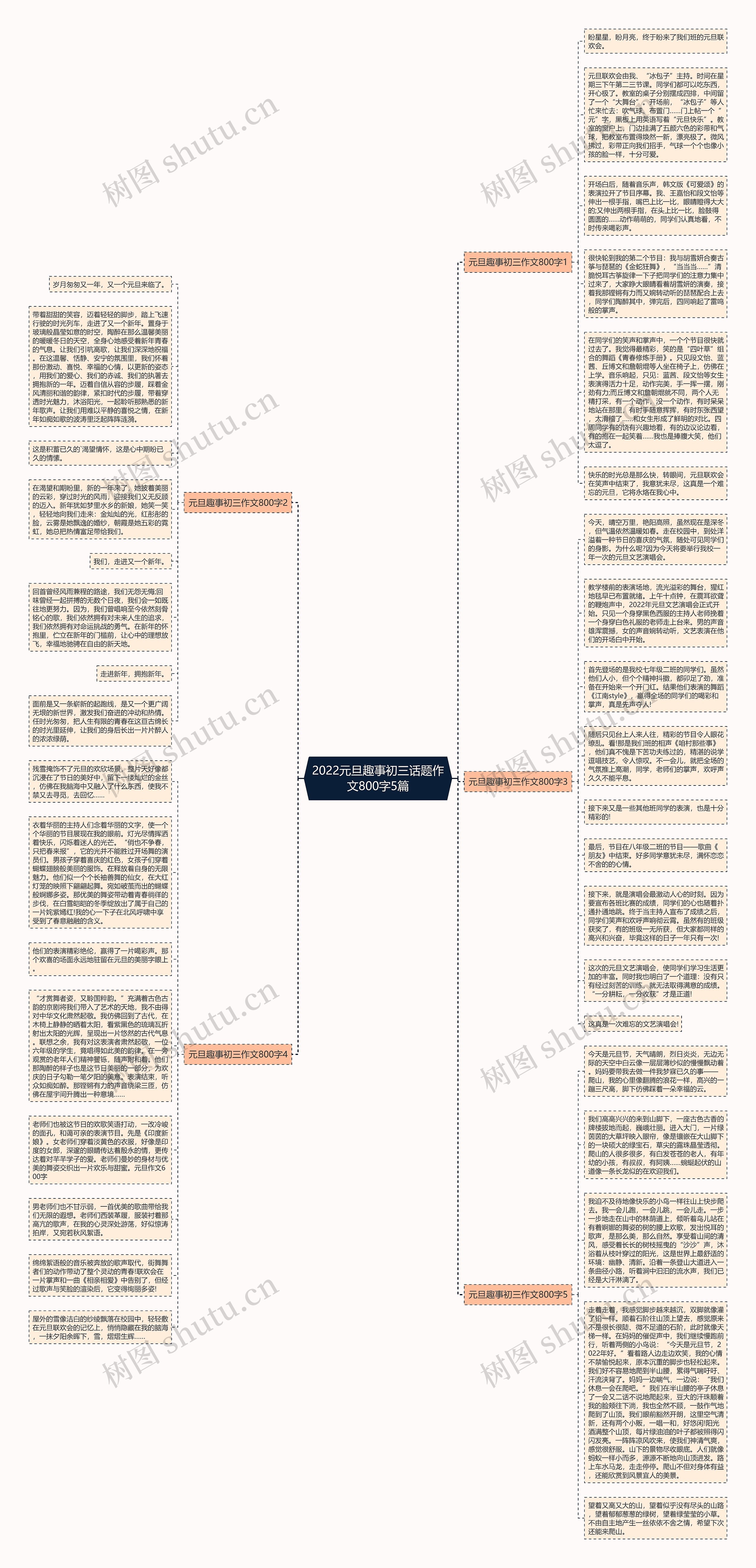 2022元旦趣事初三话题作文800字5篇思维导图