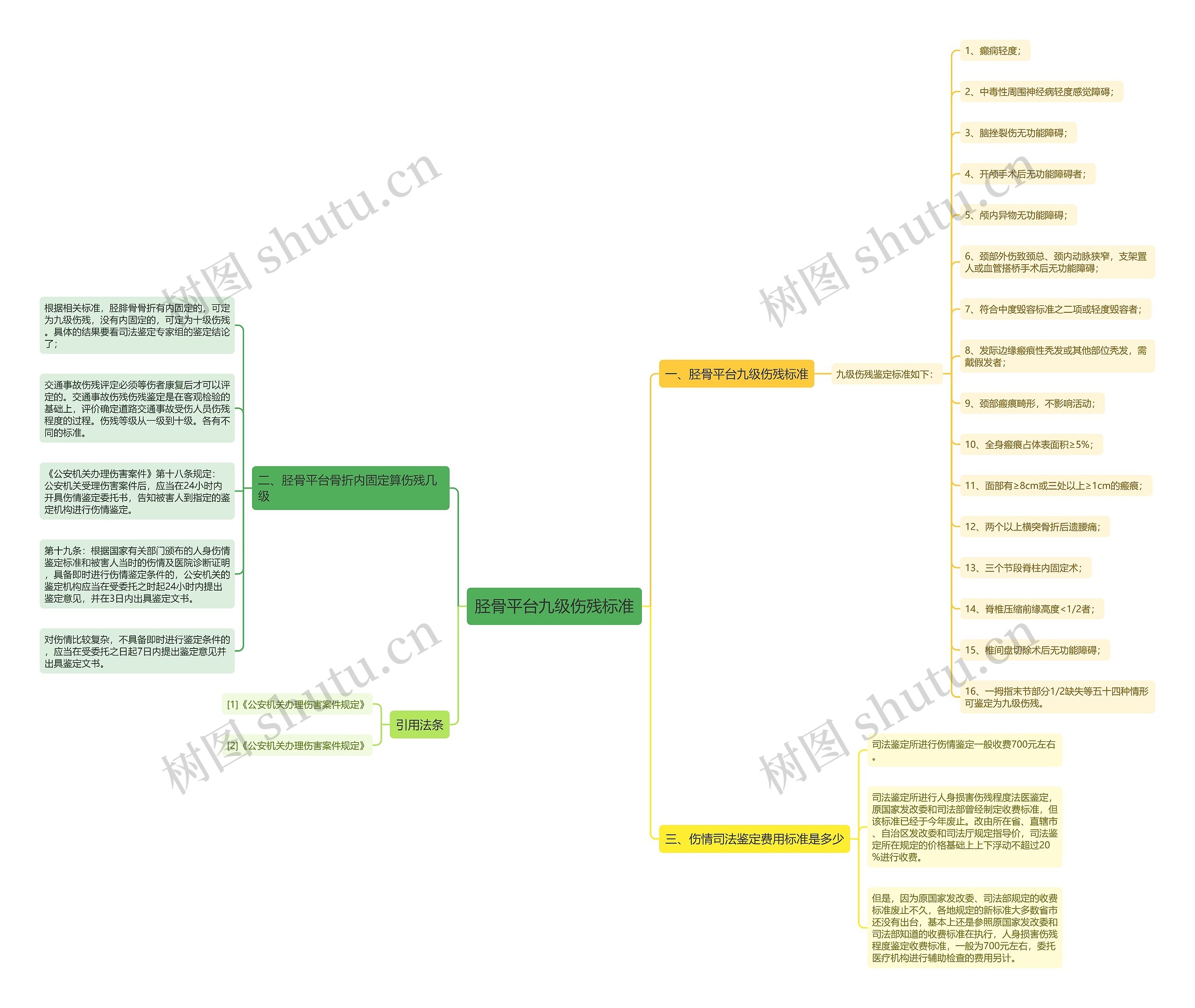 胫骨平台九级伤残标准思维导图