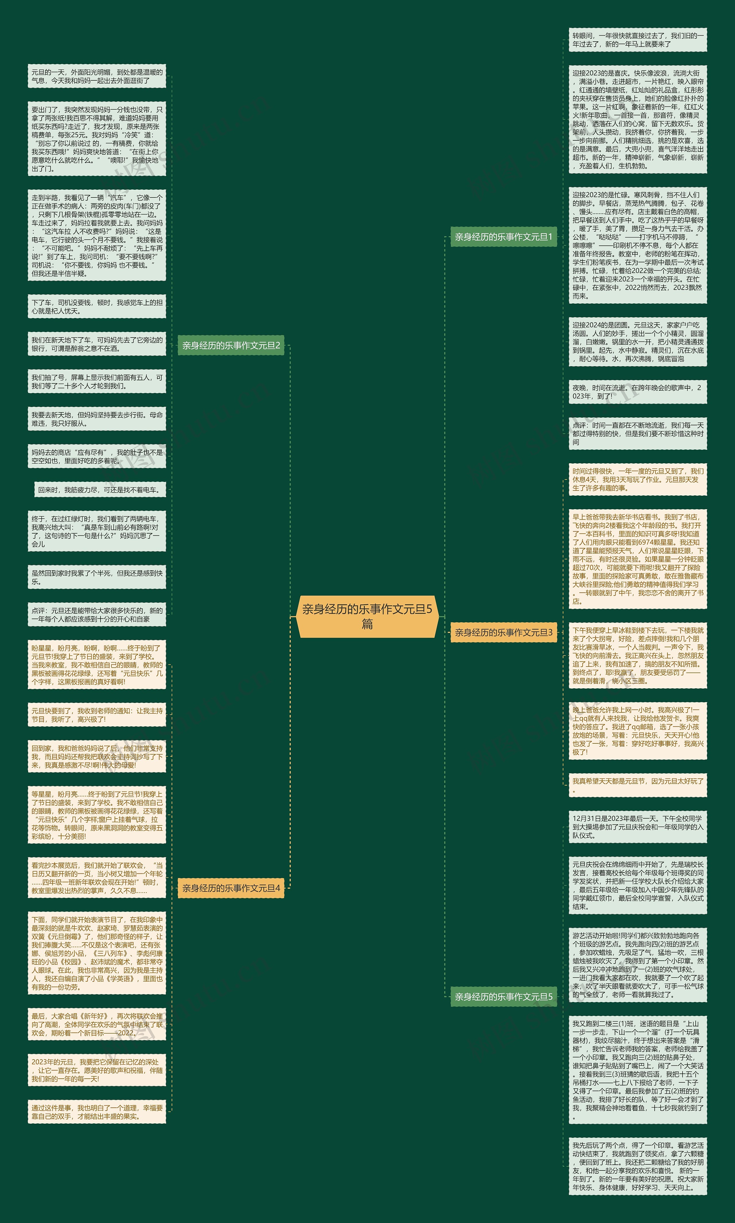 亲身经历的乐事作文元旦5篇思维导图