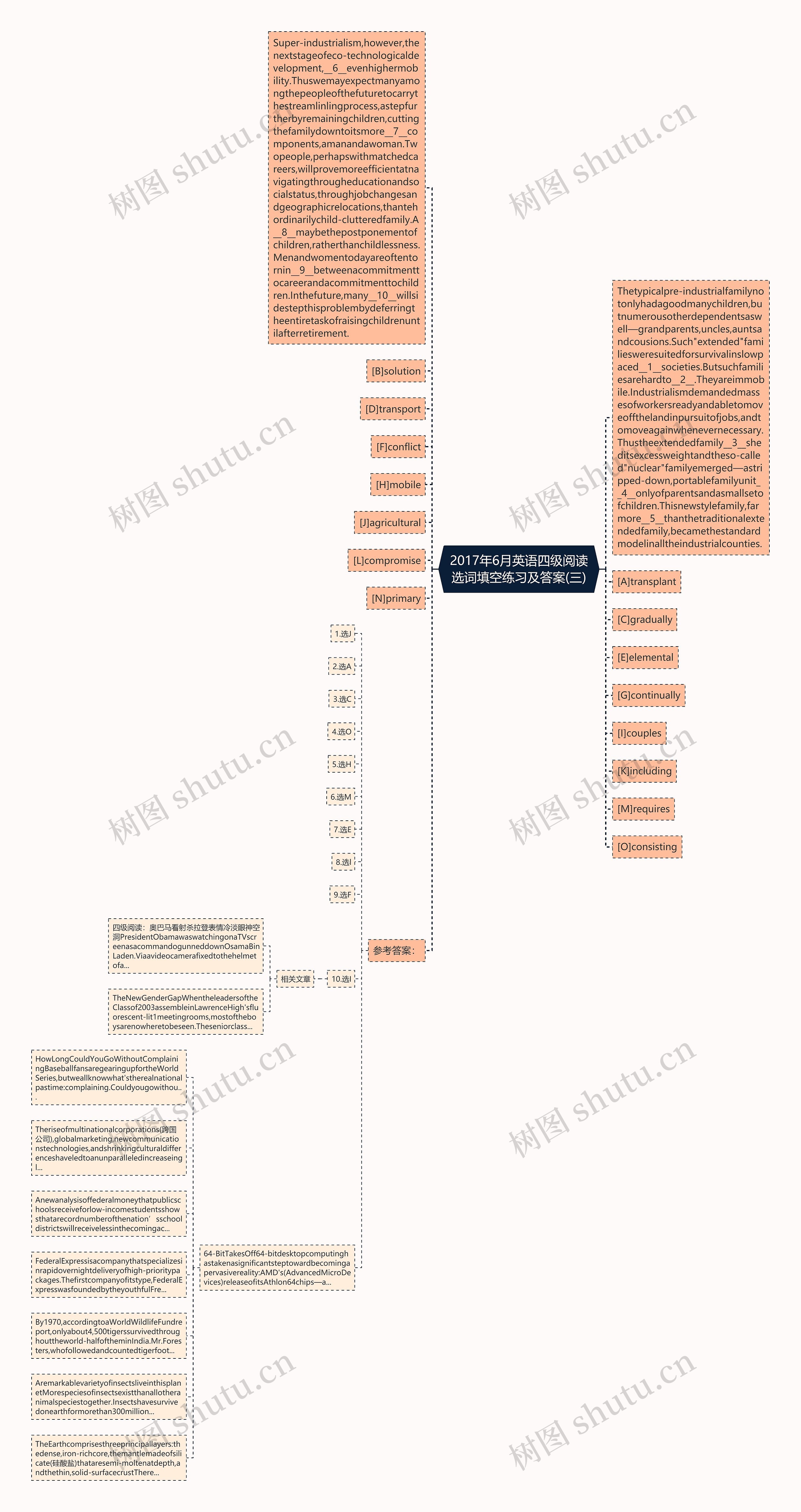 2017年6月英语四级阅读选词填空练习及答案(三)思维导图