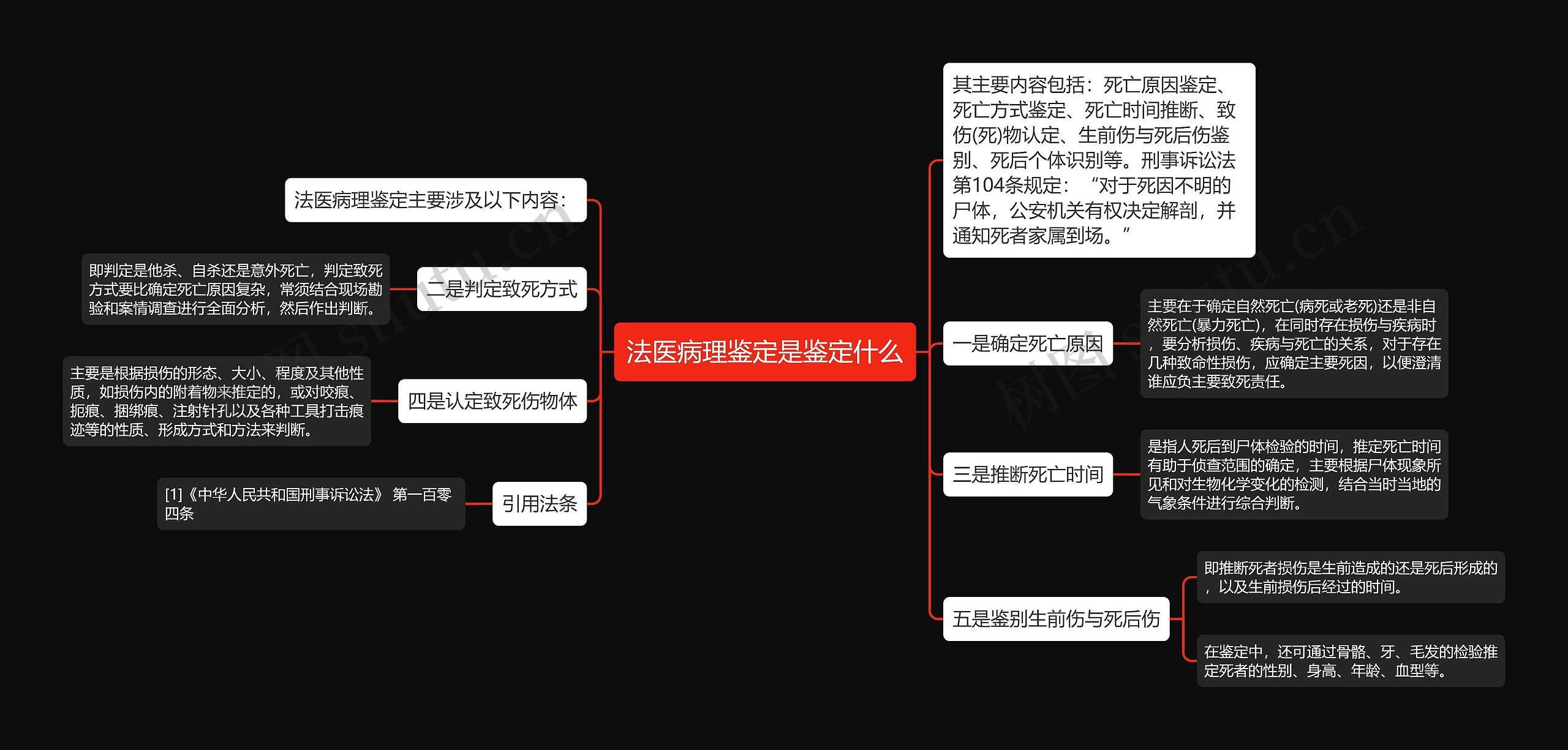 法医病理鉴定是鉴定什么