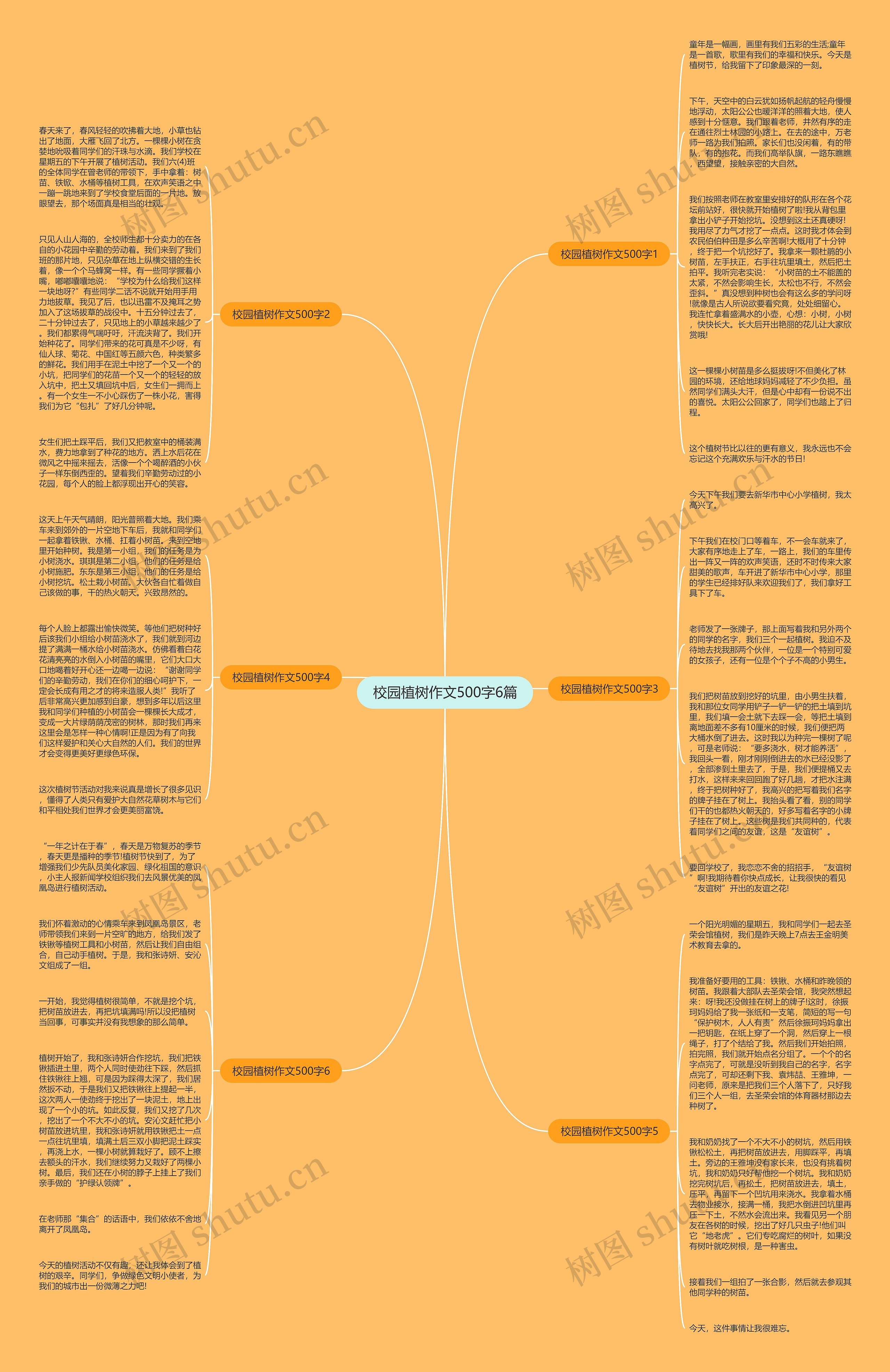 校园植树作文500字6篇思维导图