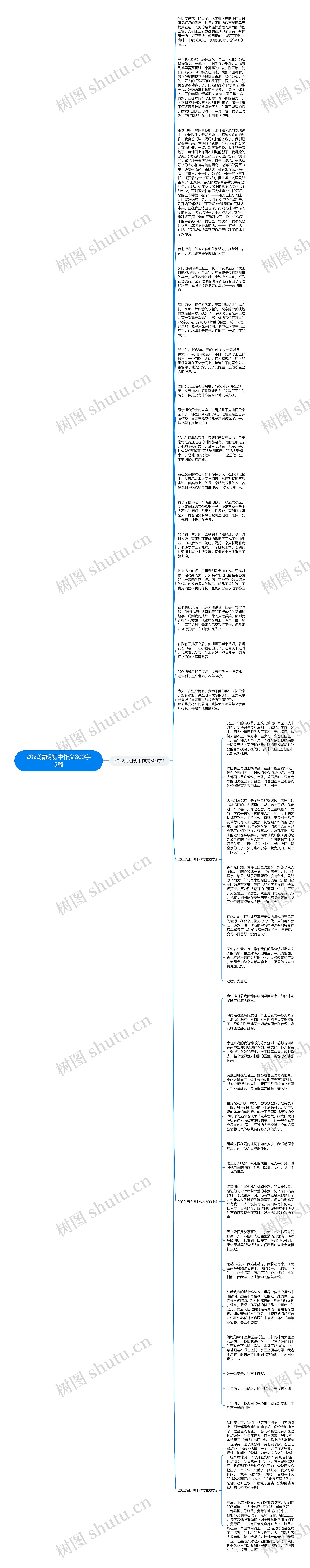 2022清明初中作文800字5篇思维导图