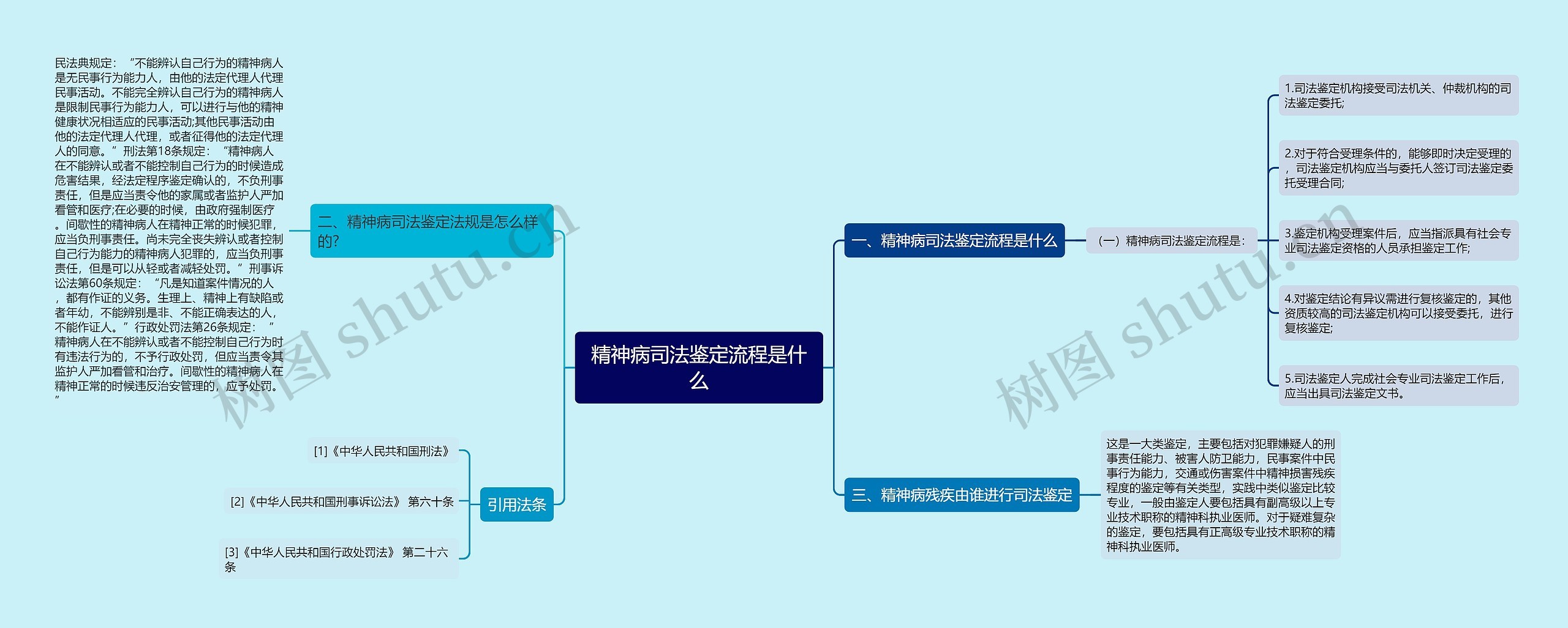 精神病司法鉴定流程是什么思维导图