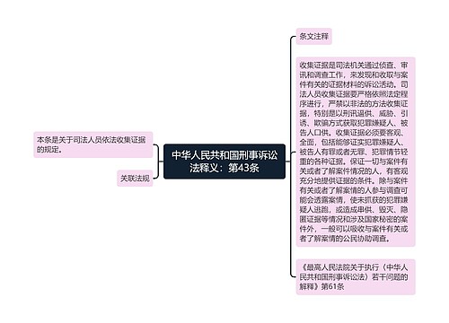 中华人民共和国刑事诉讼法释义：第43条