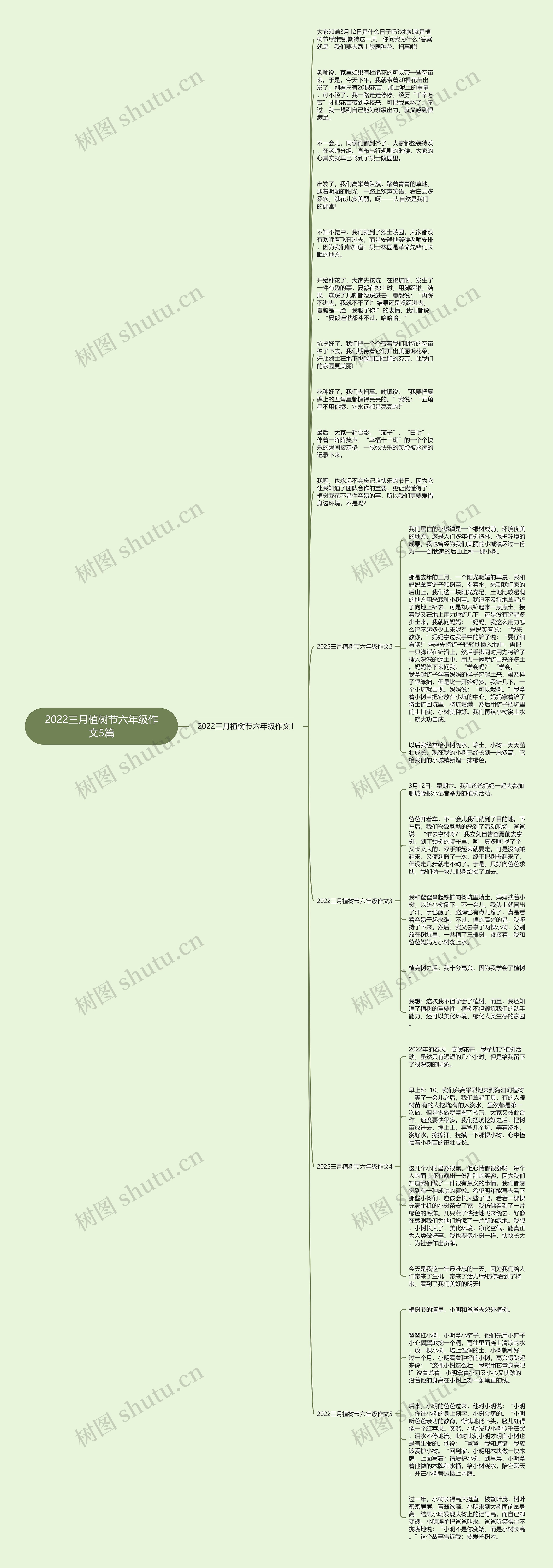 2022三月植树节六年级作文5篇思维导图