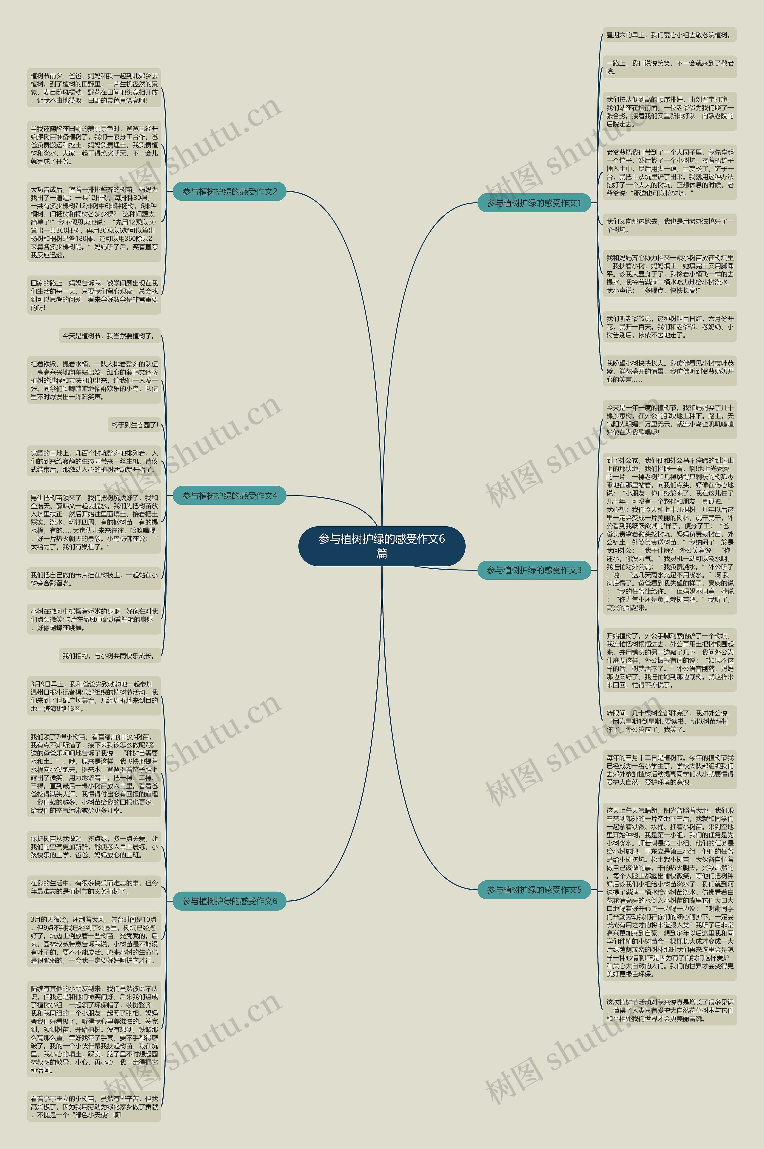 参与植树护绿的感受作文6篇思维导图