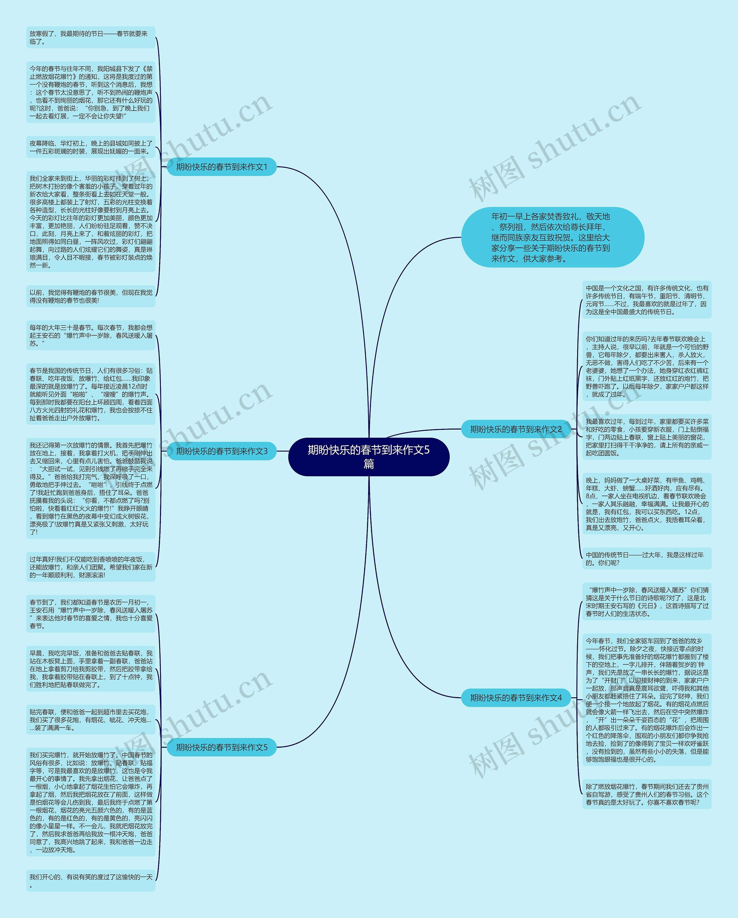期盼快乐的春节到来作文5篇思维导图