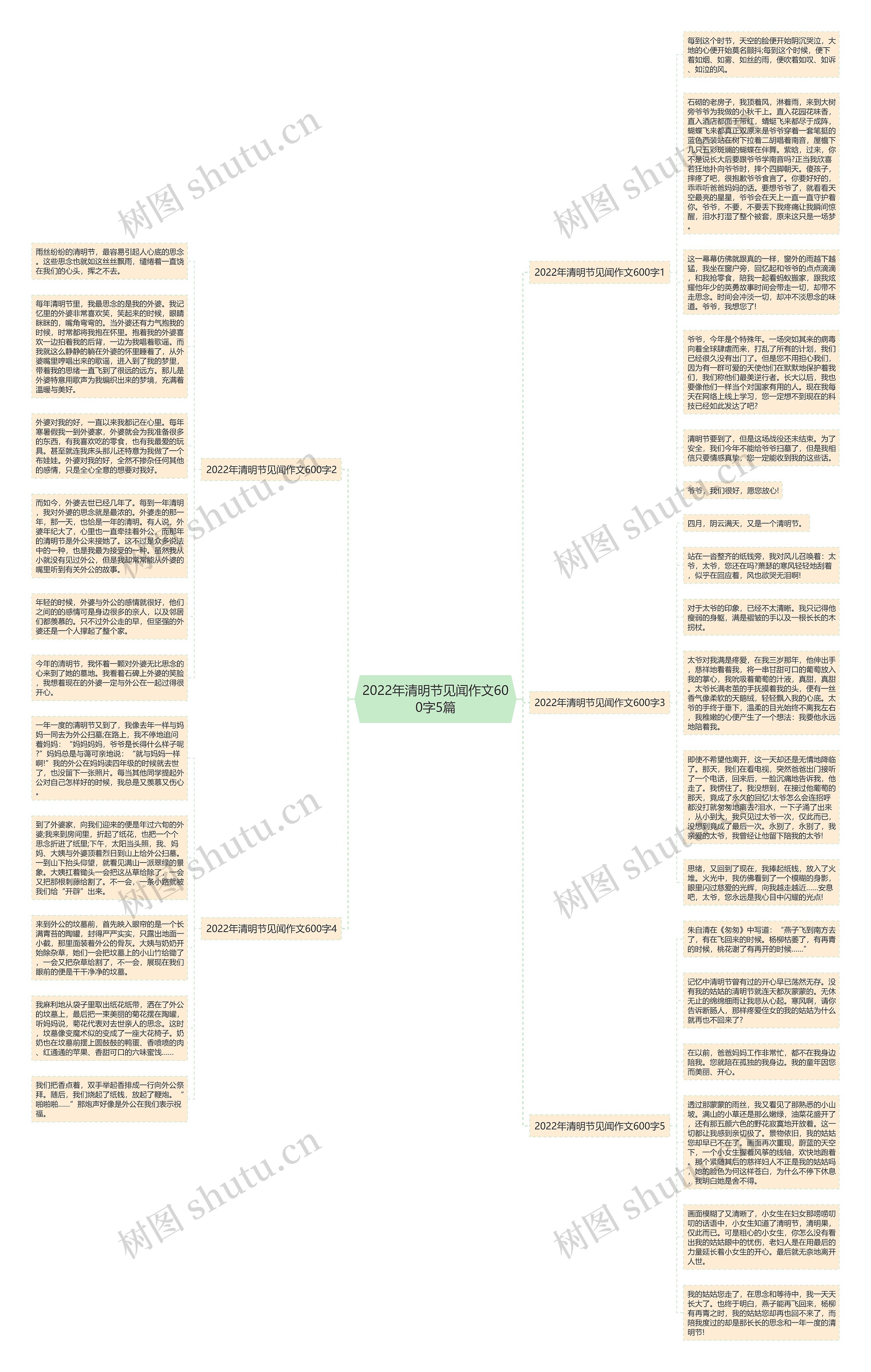 2022年清明节见闻作文600字5篇思维导图