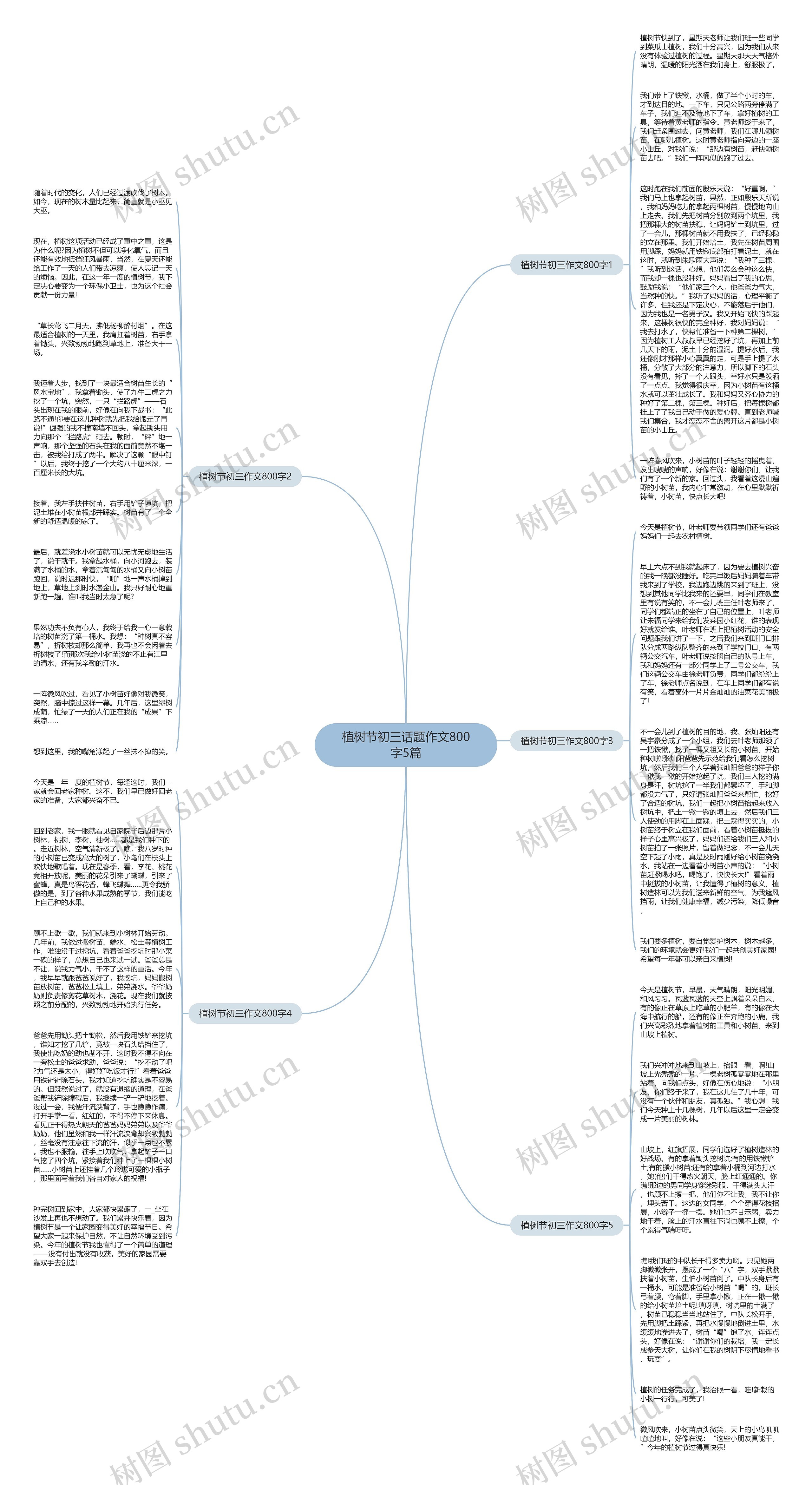 植树节初三话题作文800字5篇思维导图