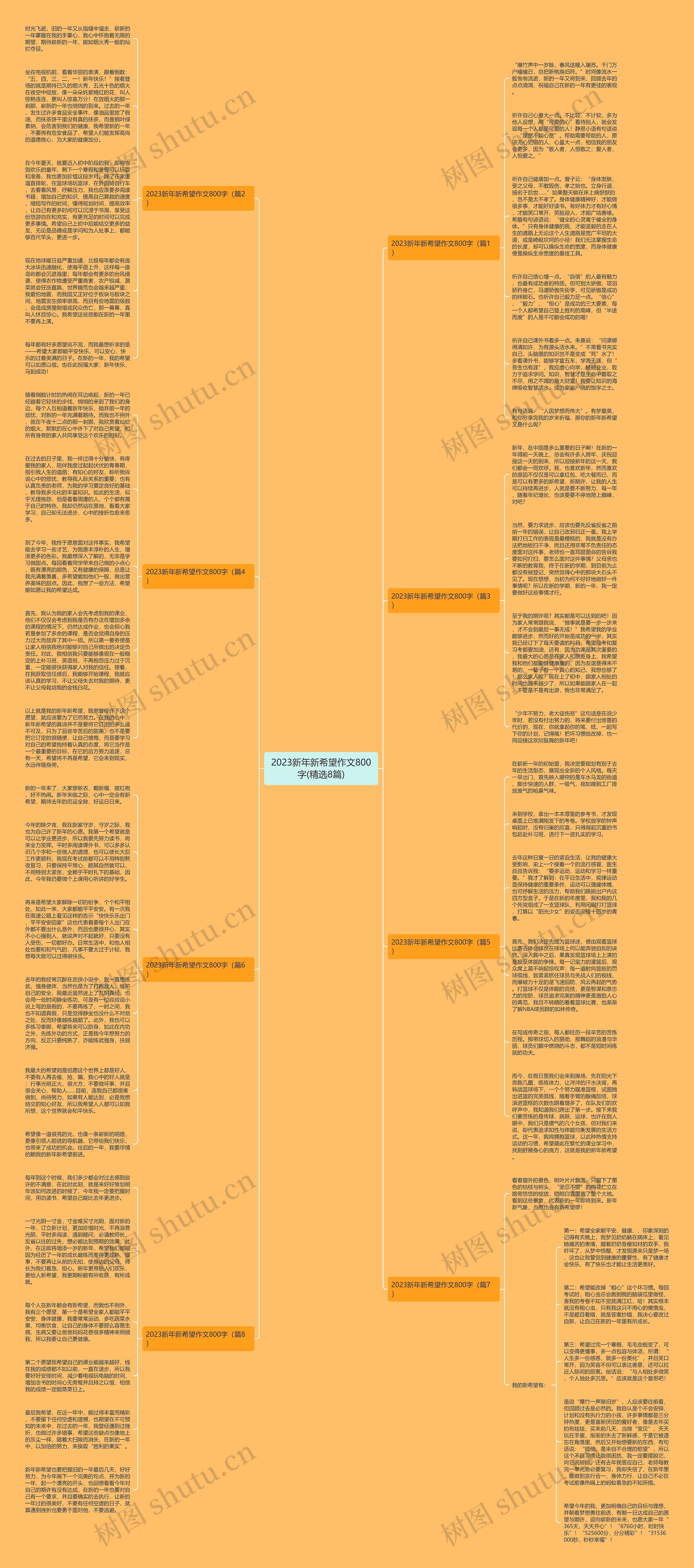 2023新年新希望作文800字(精选8篇)思维导图
