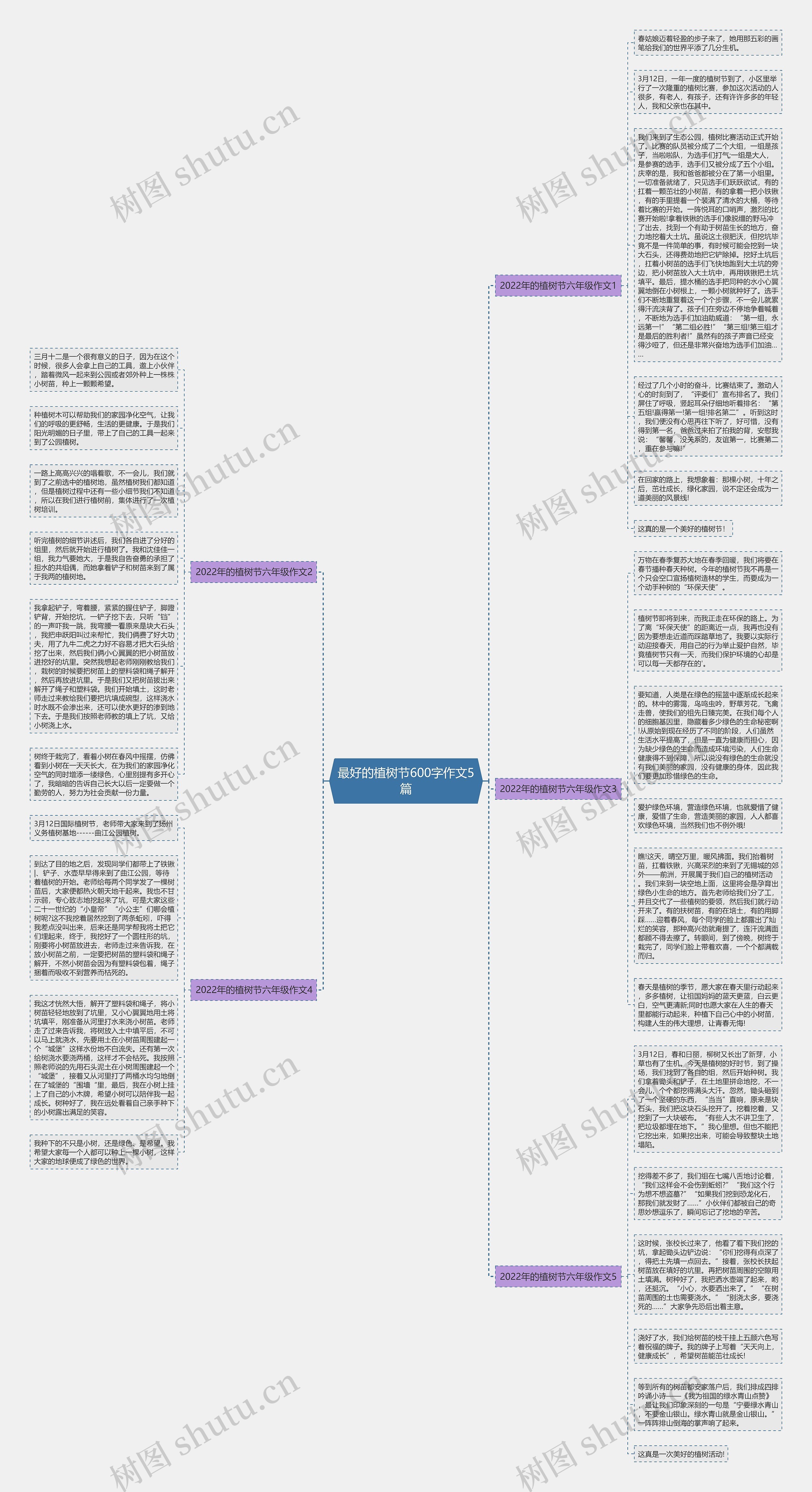 最好的植树节600字作文5篇思维导图
