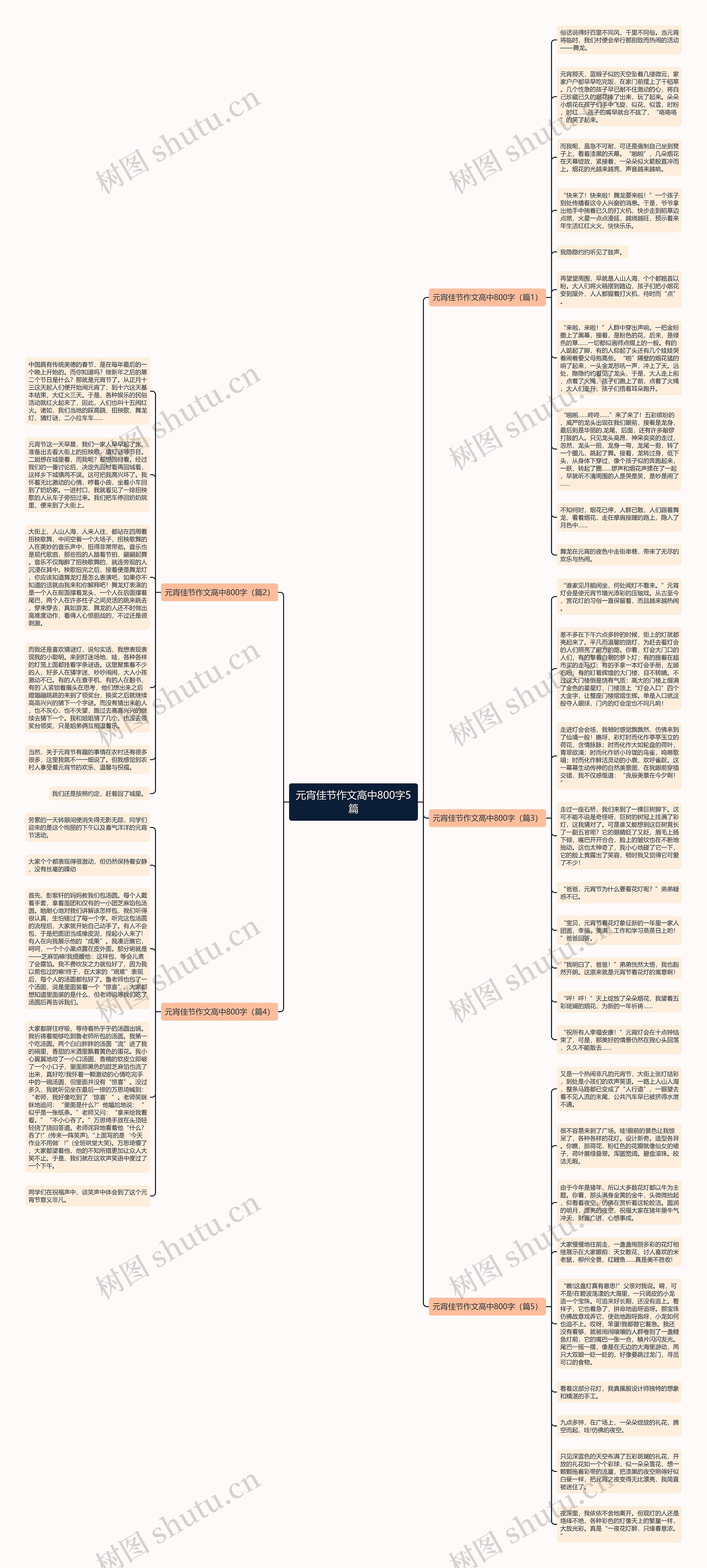 元宵佳节作文高中800字5篇思维导图