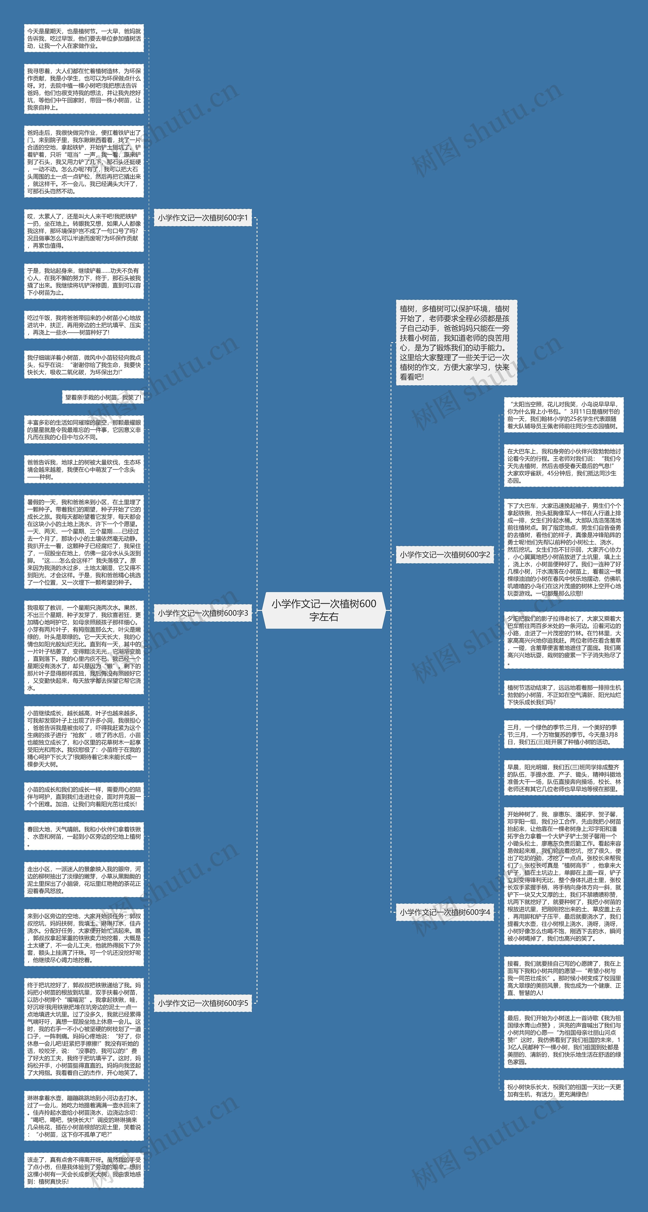 小学作文记一次植树600字左右思维导图