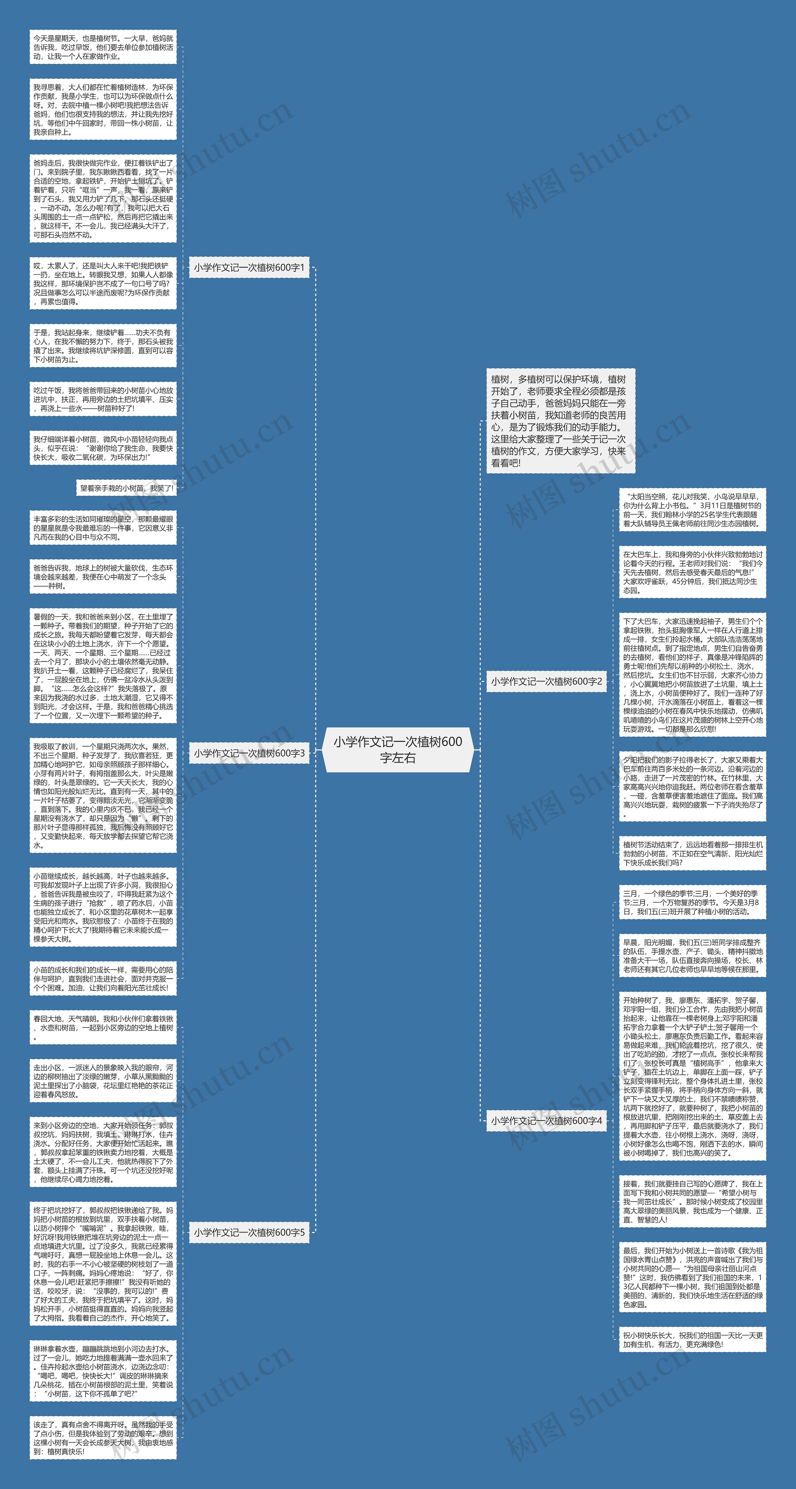 小学作文记一次植树600字左右思维导图高清图 小学作文记一次植树600字左右思维导图
