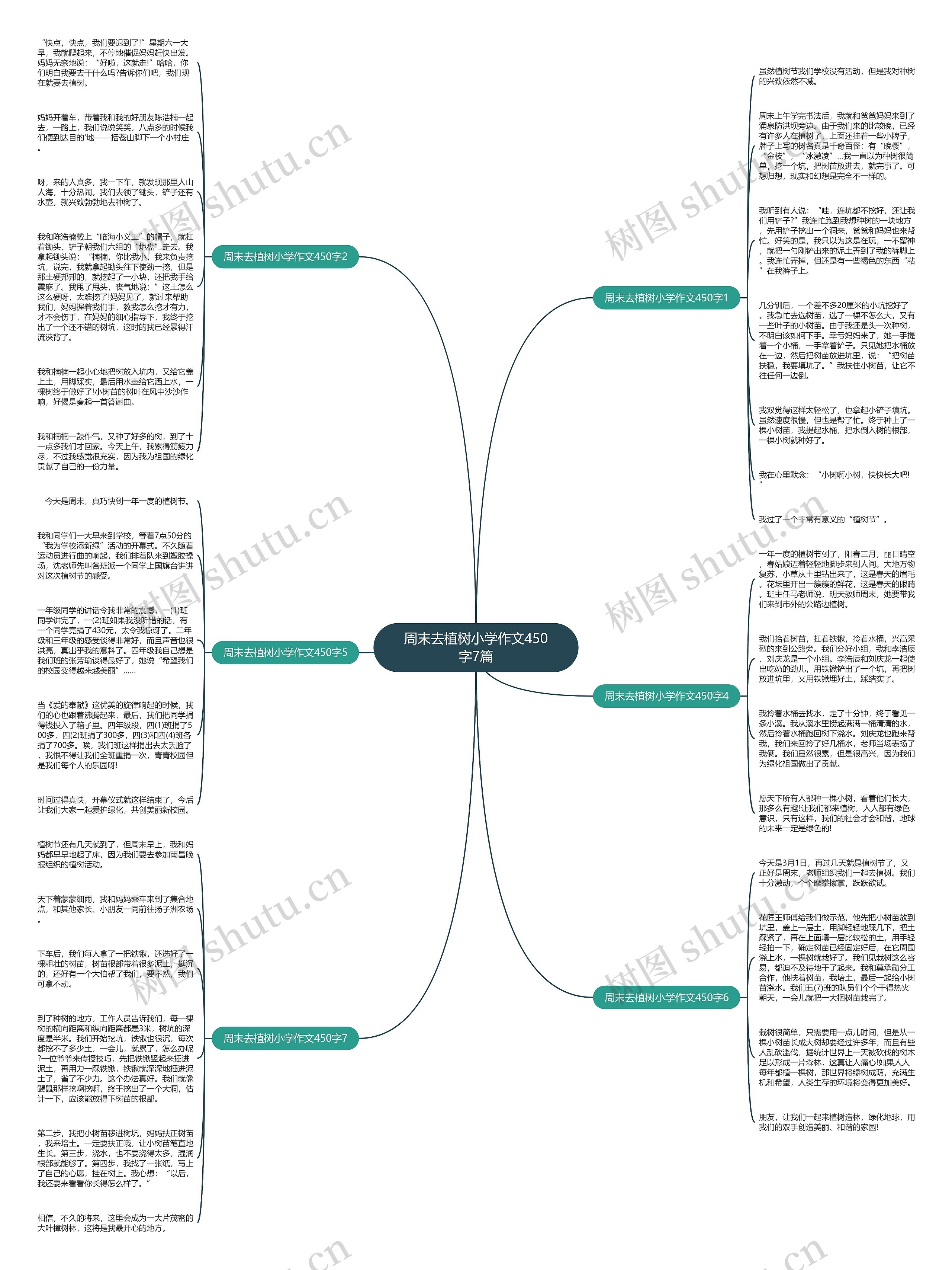 周末去植树小学作文450字7篇思维导图