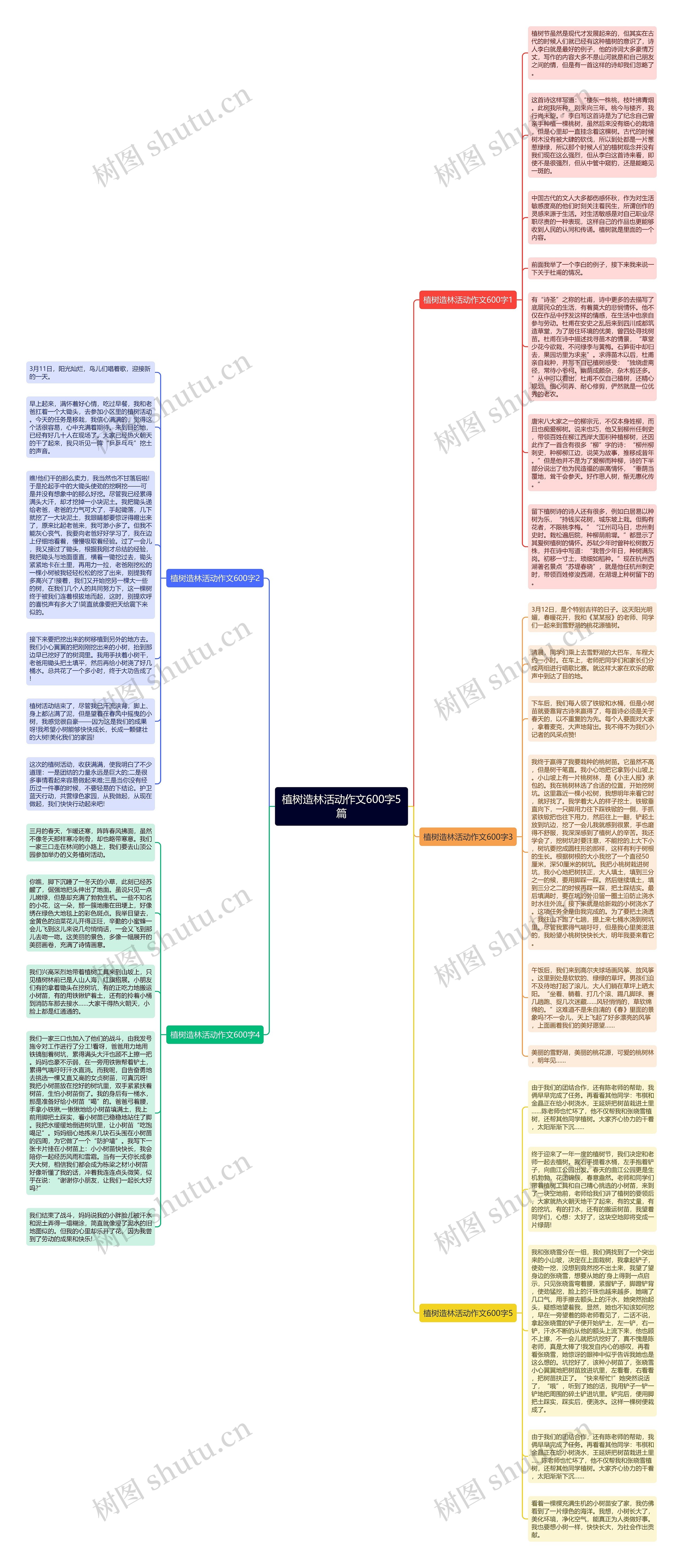 植树造林活动作文600字5篇思维导图