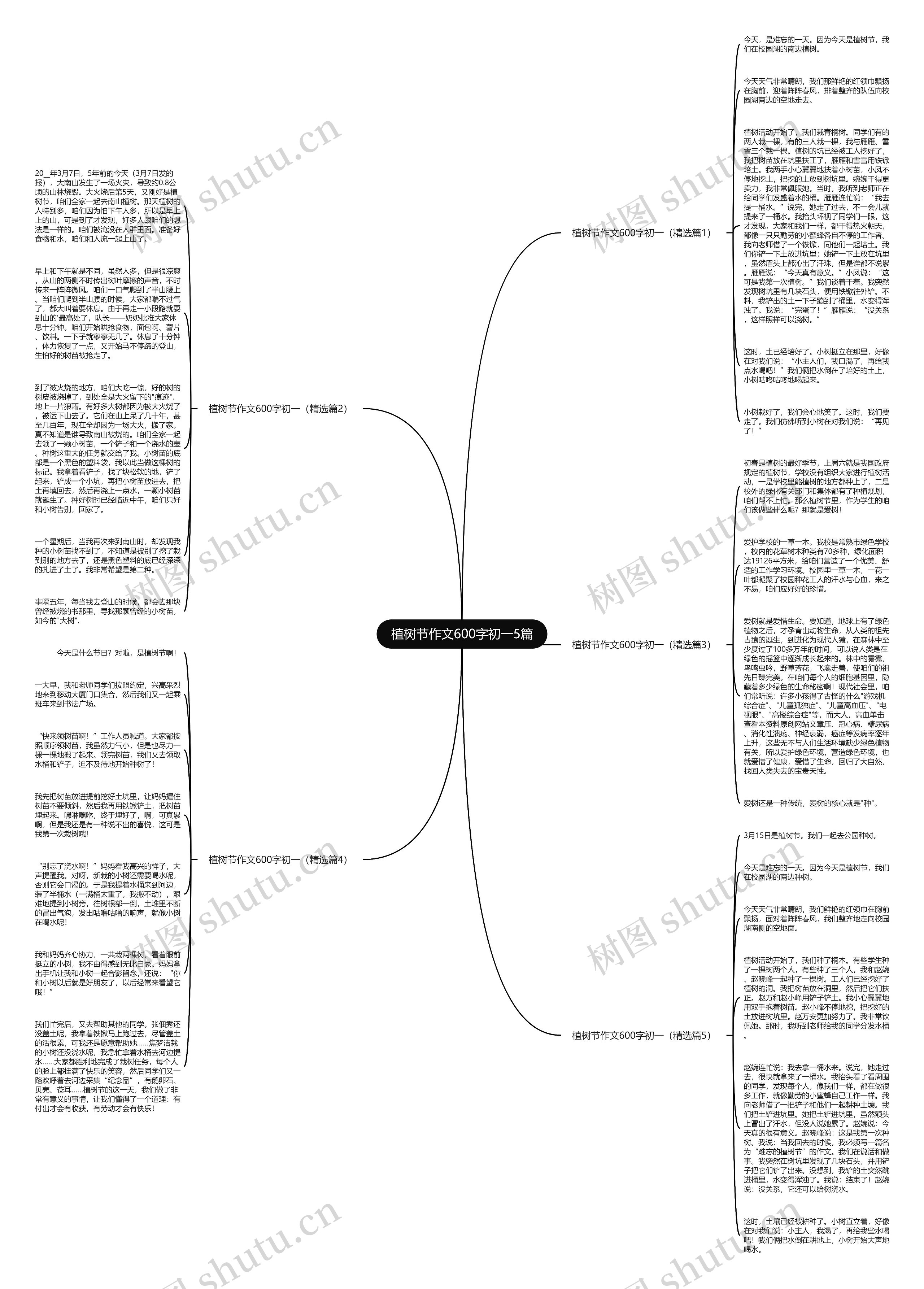 植树节作文600字初一5篇思维导图