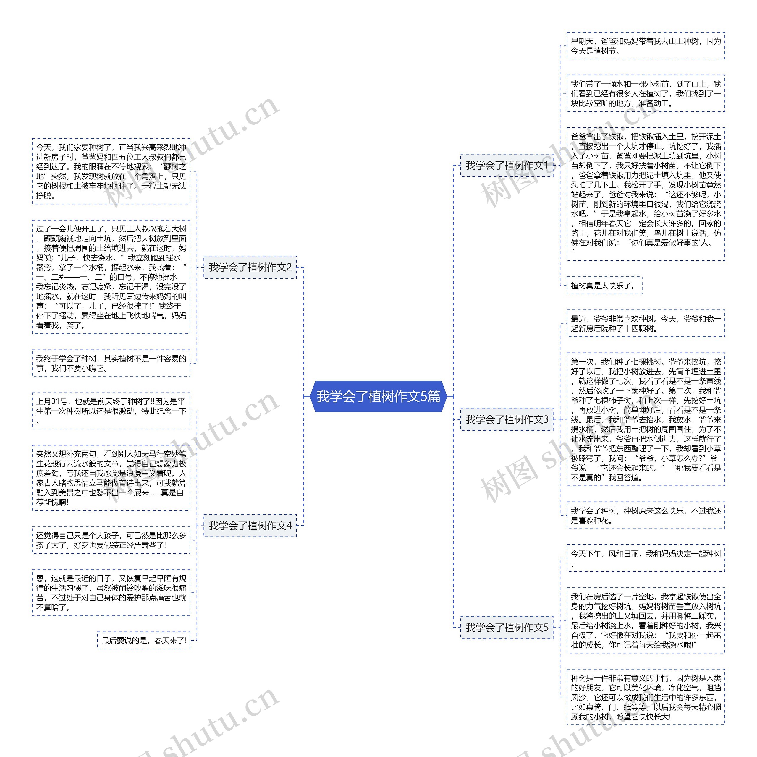 我学会了植树作文5篇思维导图