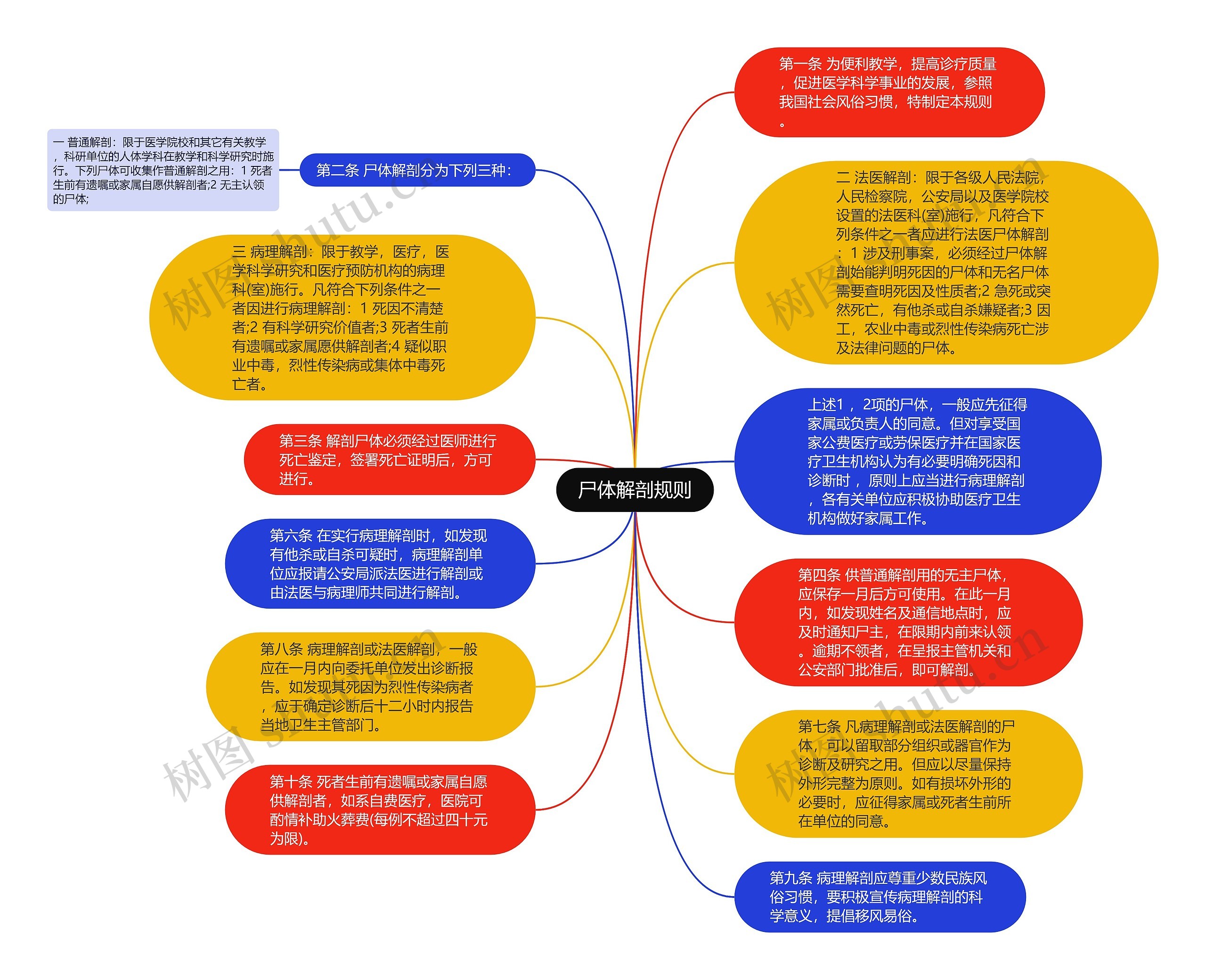 尸体解剖规则