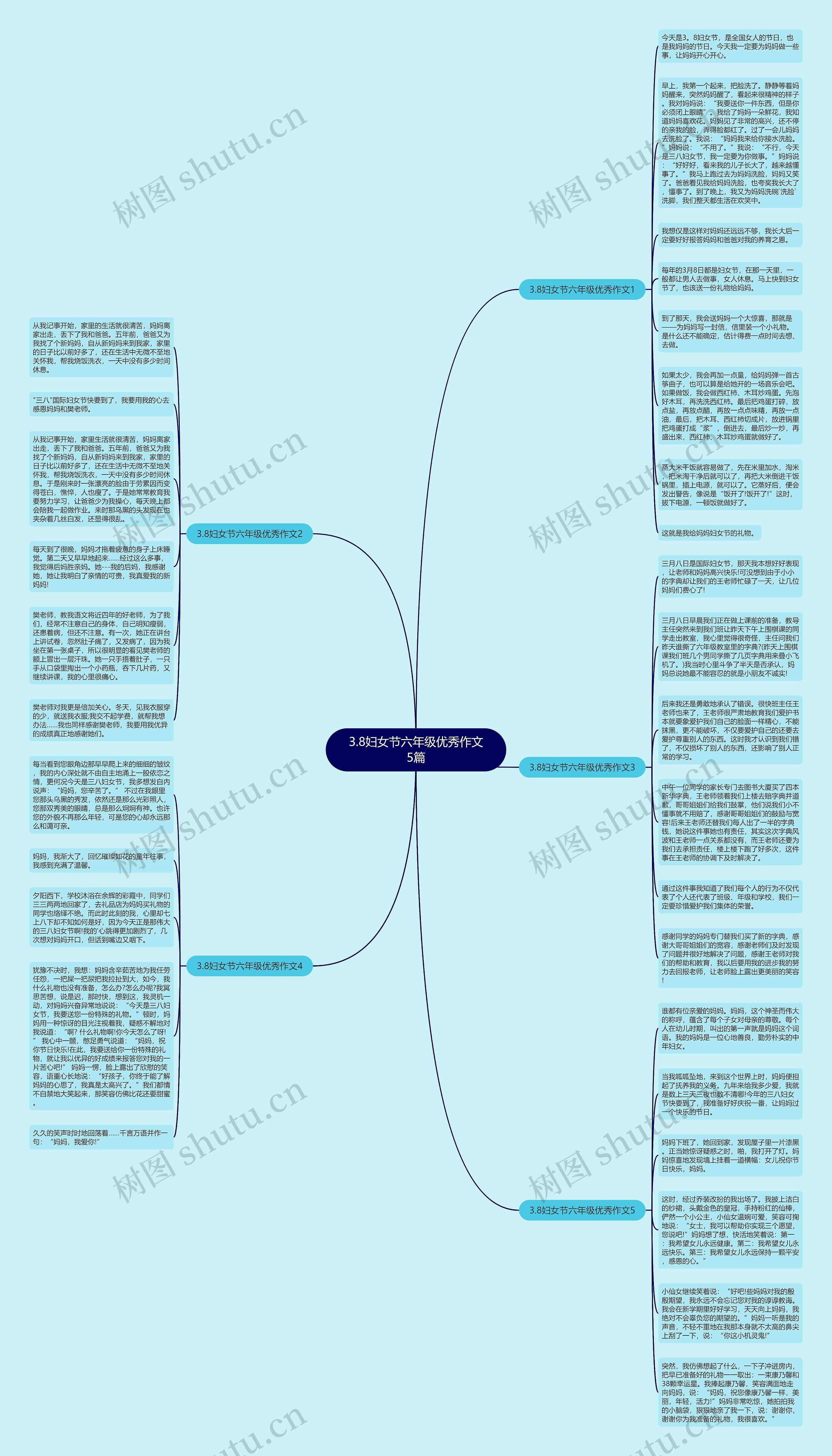 3.8妇女节六年级优秀作文5篇思维导图