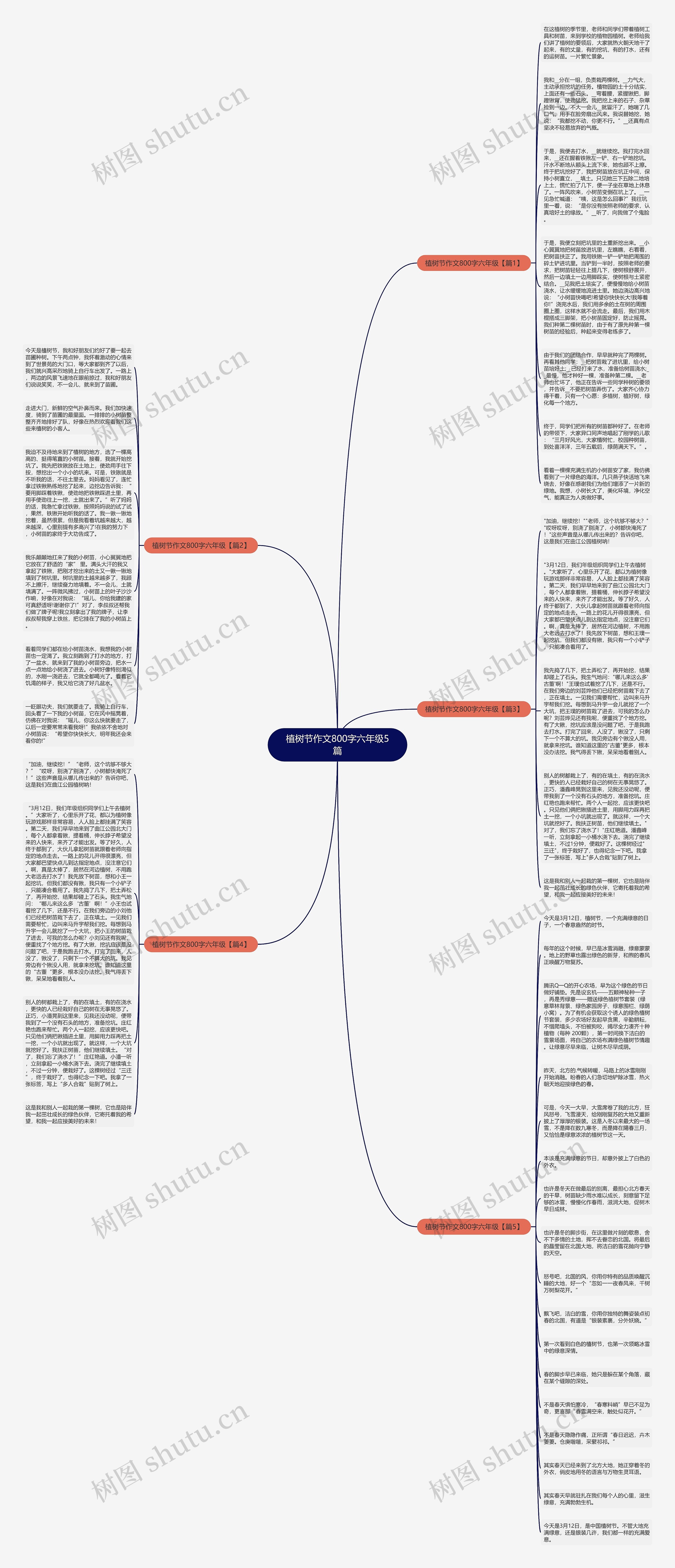 植树节作文800字六年级5篇思维导图