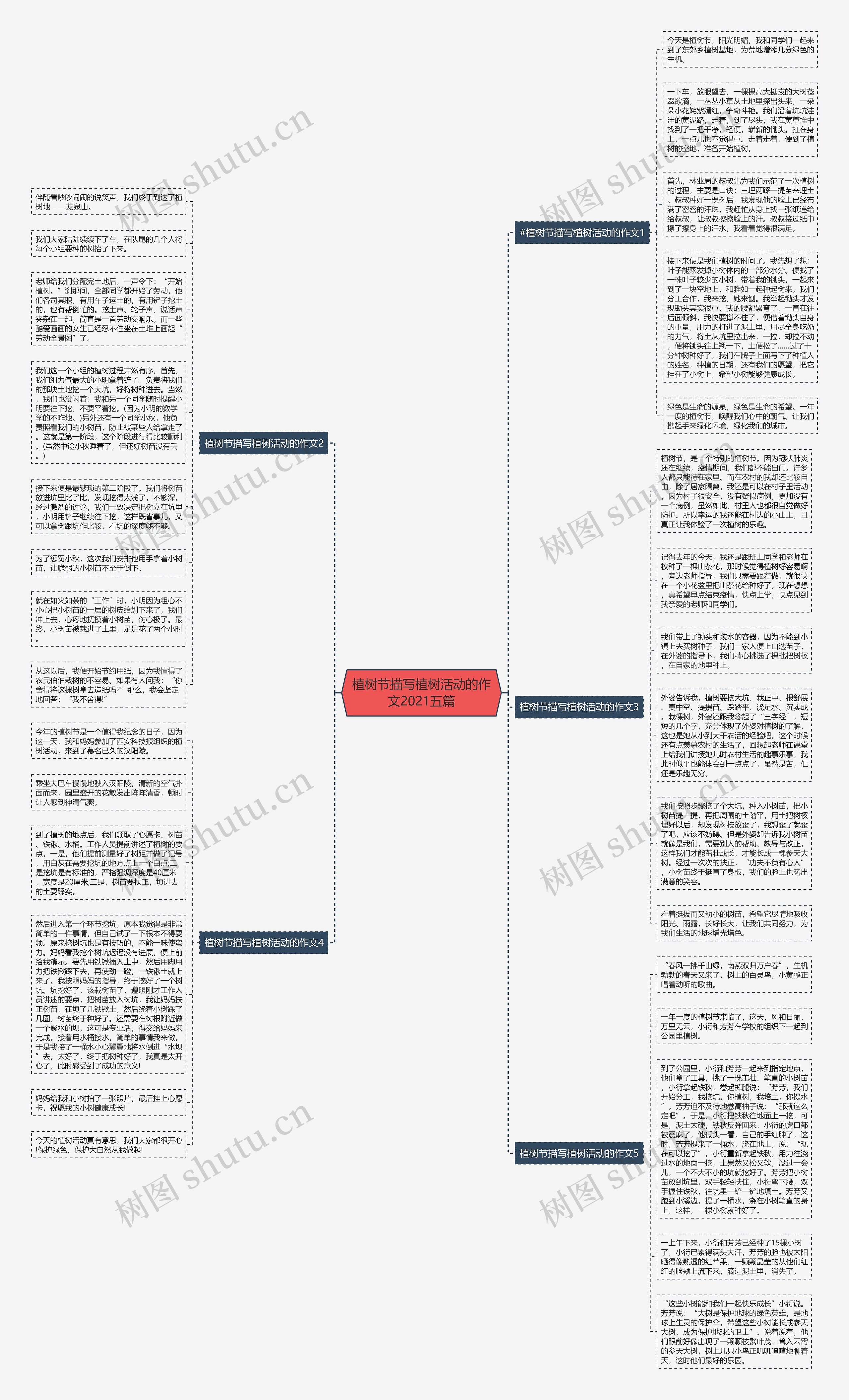 植树节描写植树活动的作文2021五篇思维导图