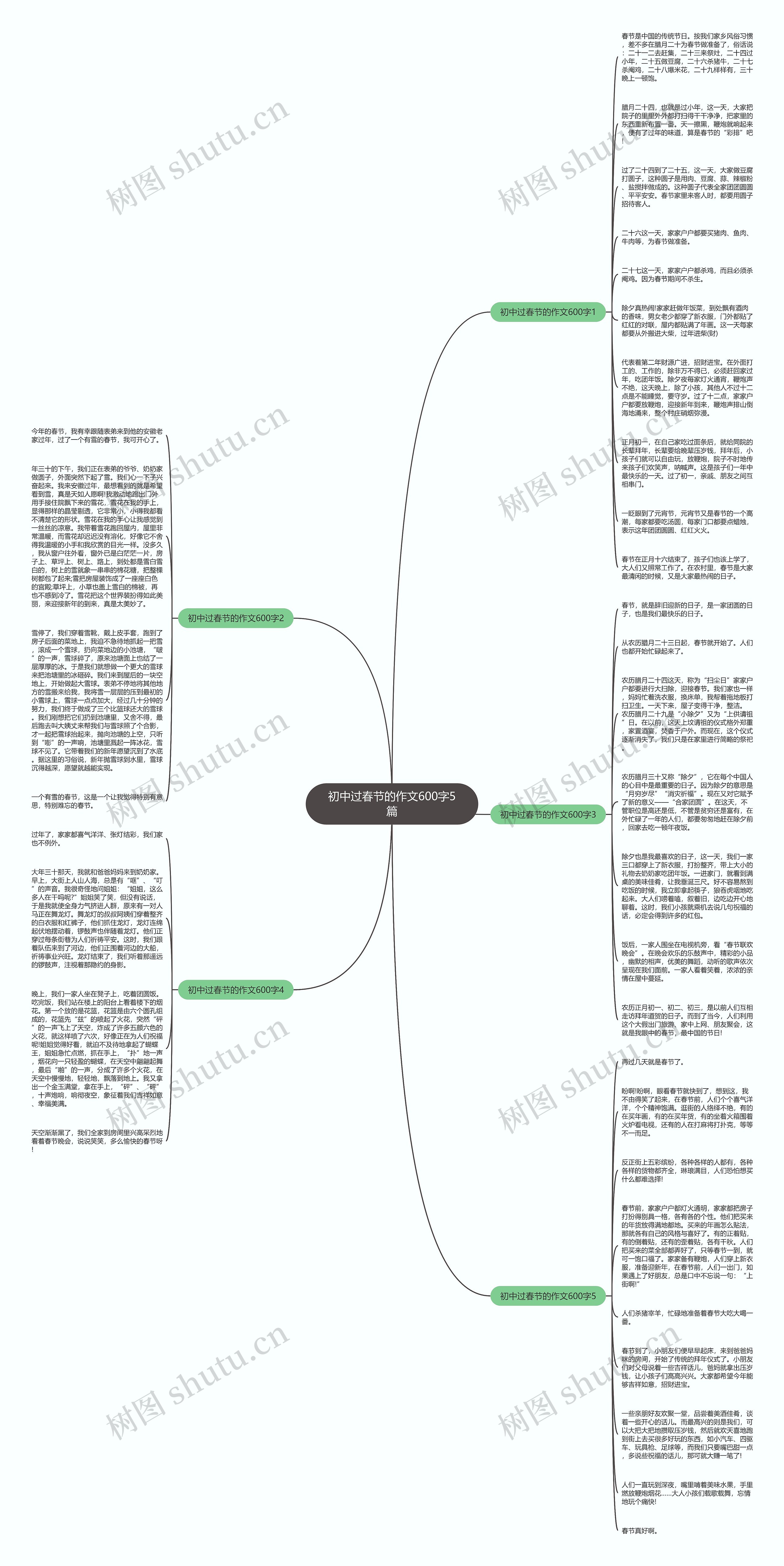 初中过春节的作文600字5篇思维导图