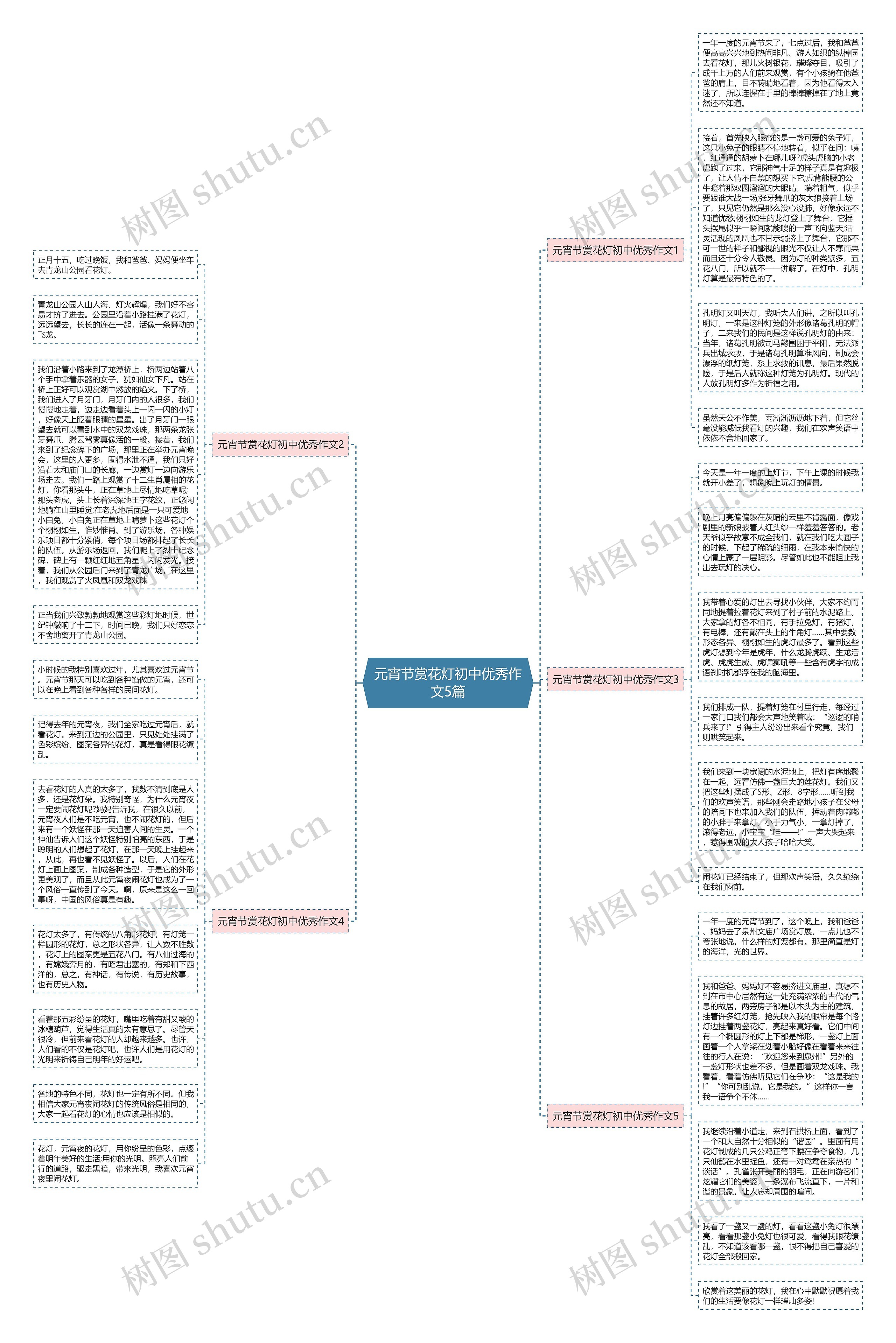 元宵节赏花灯初中优秀作文5篇思维导图