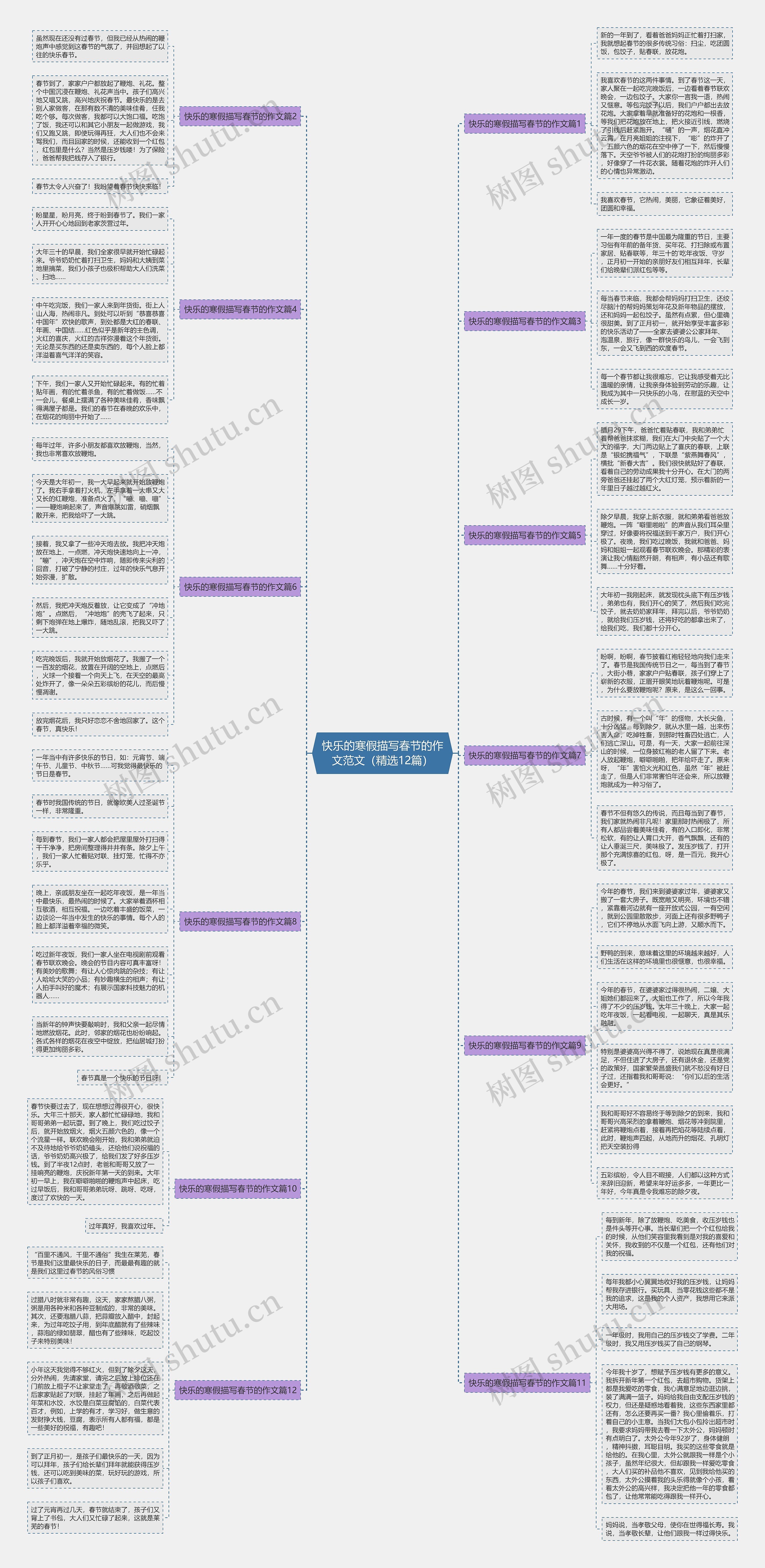 快乐的寒假描写春节的作文范文（精选12篇）思维导图