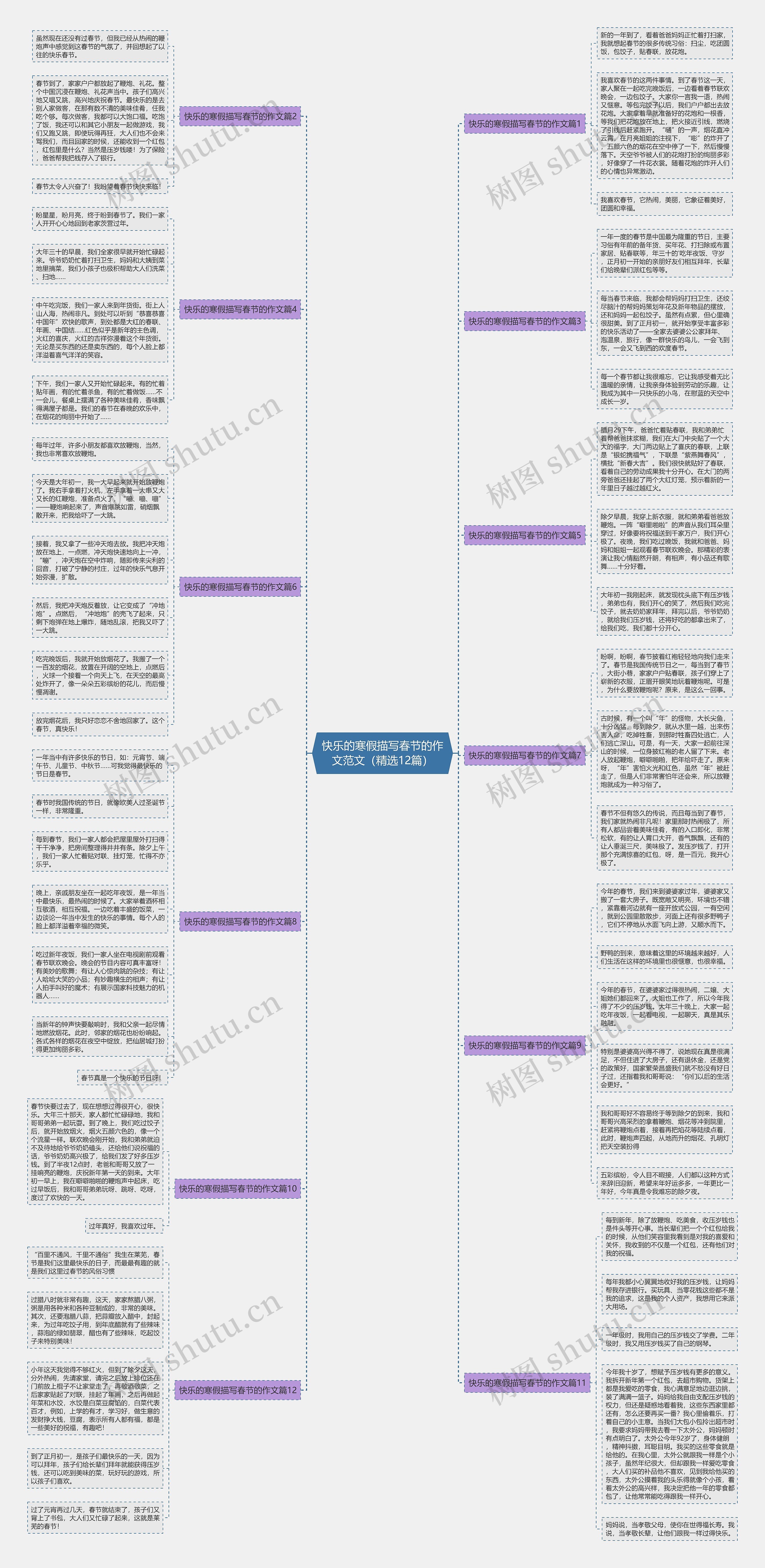 快乐的寒假描写春节的作文范文(精选12篇) 快乐的寒假描写春节的作文范文(精选12篇)