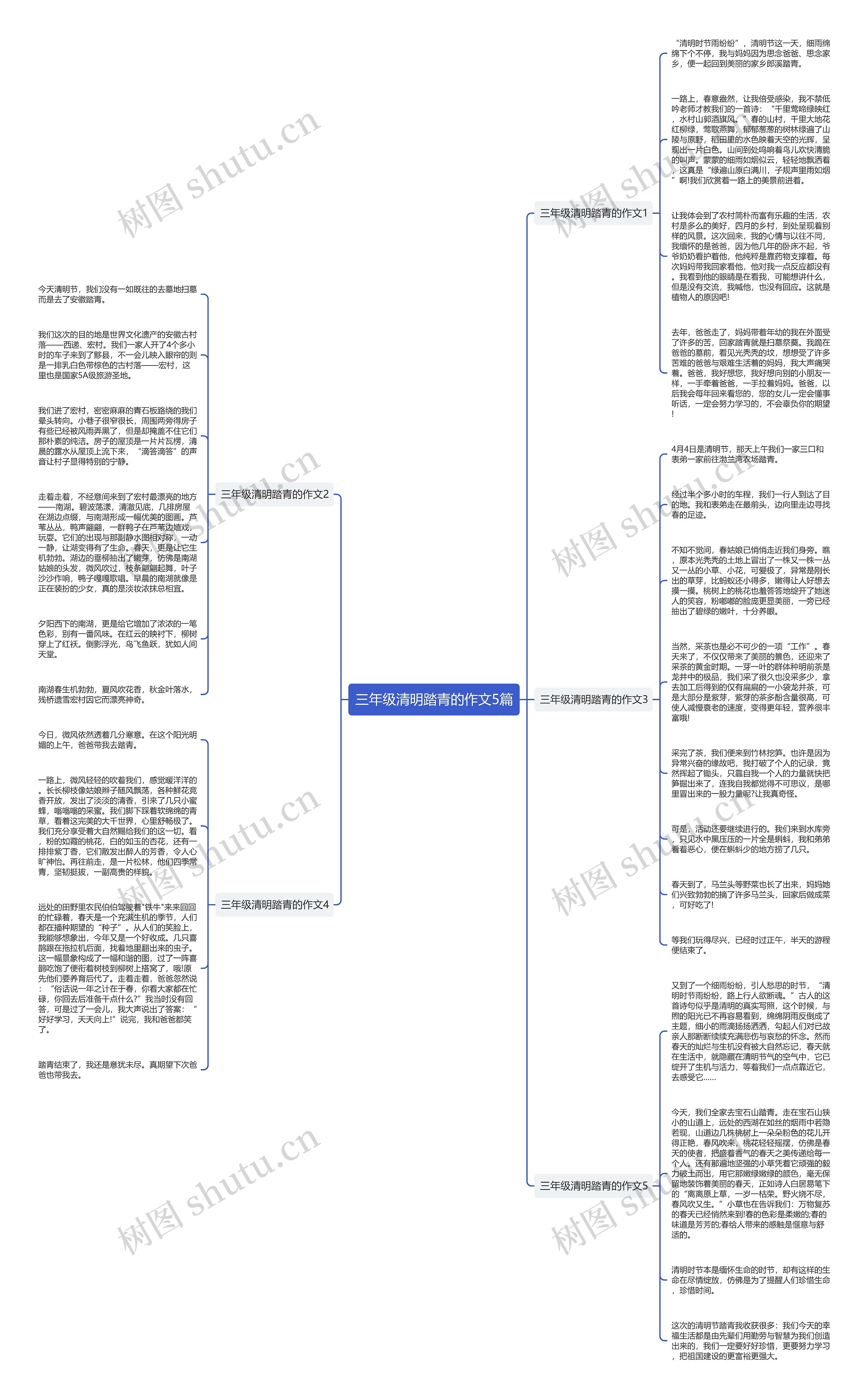 三年级清明踏青的作文5篇思维导图