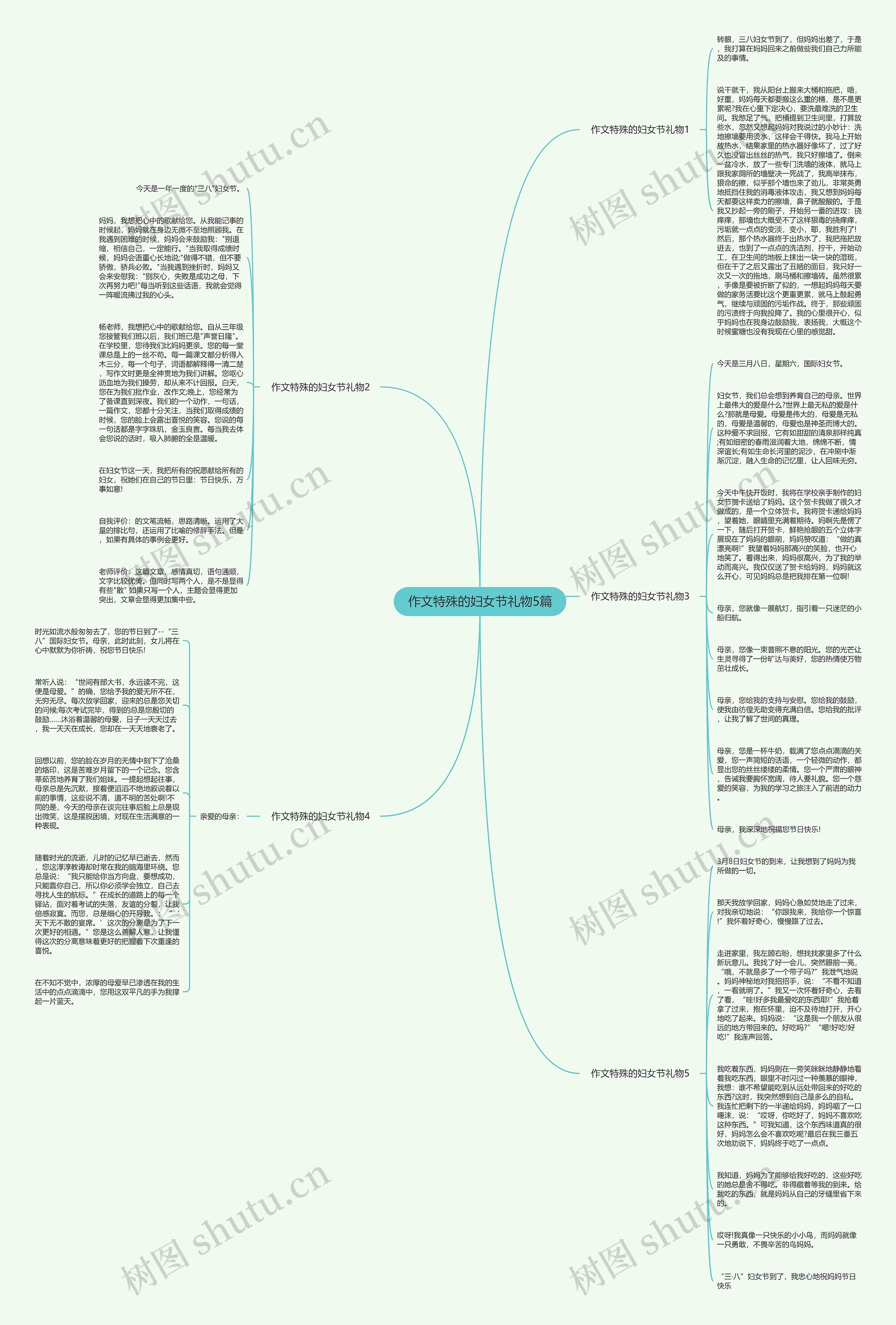 作文特殊的妇女节礼物5篇思维导图