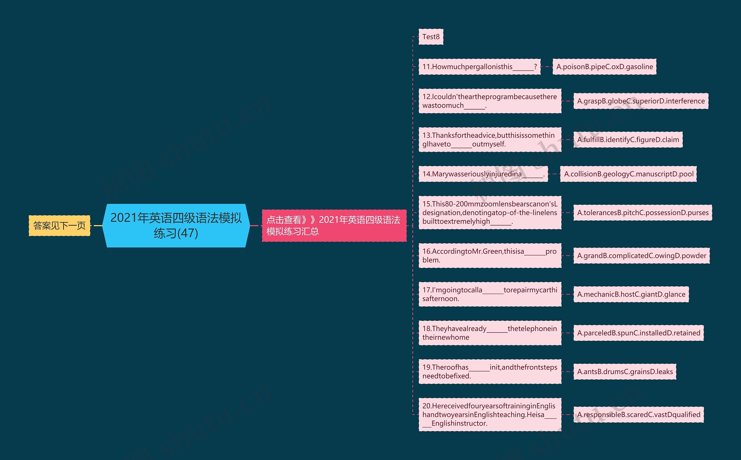 2021年英语四级语法模拟练习(47)思维导图